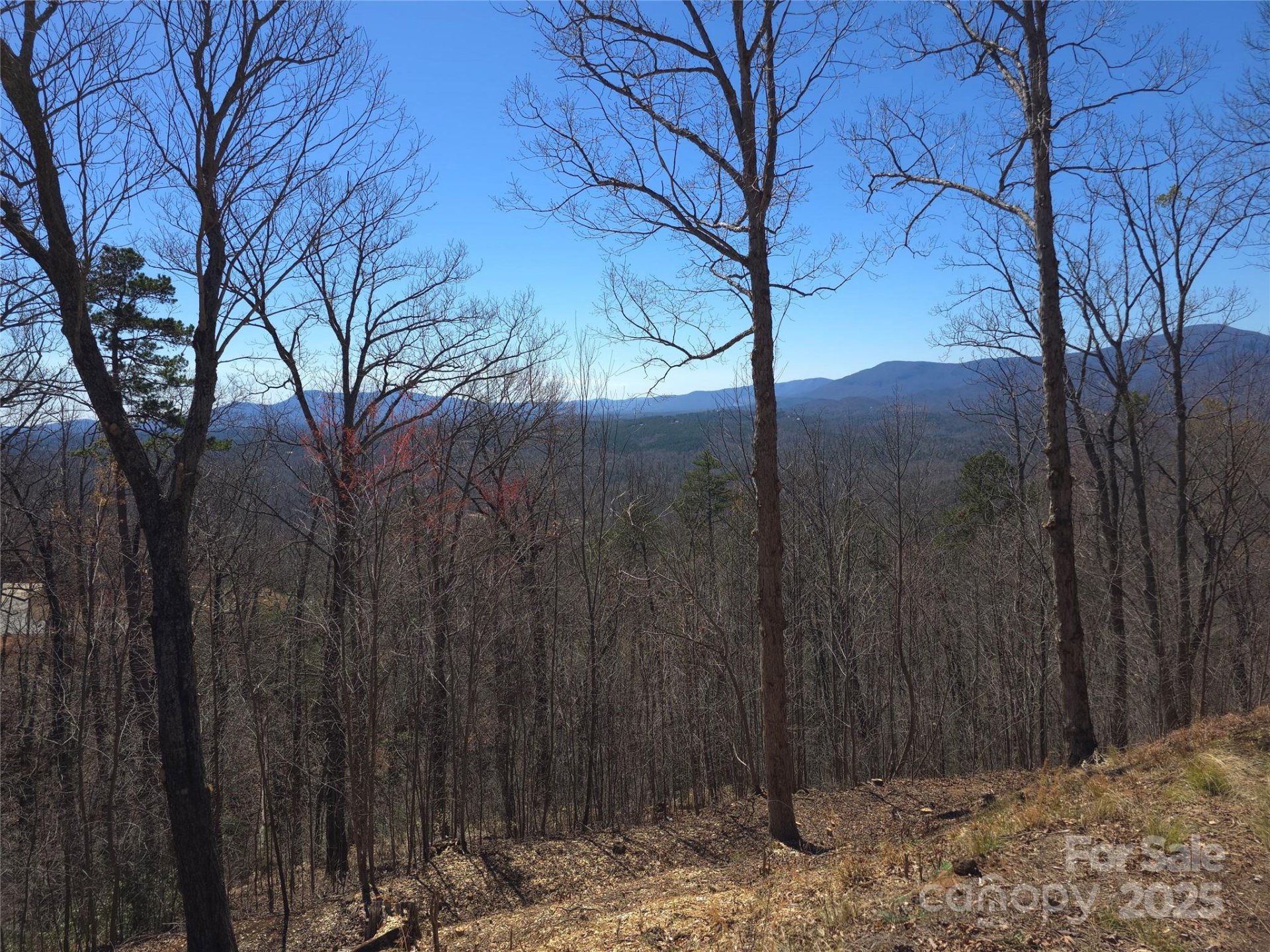 Property image 4 at 00 Golden Ridge Drive, Lake Lure, NC 28746