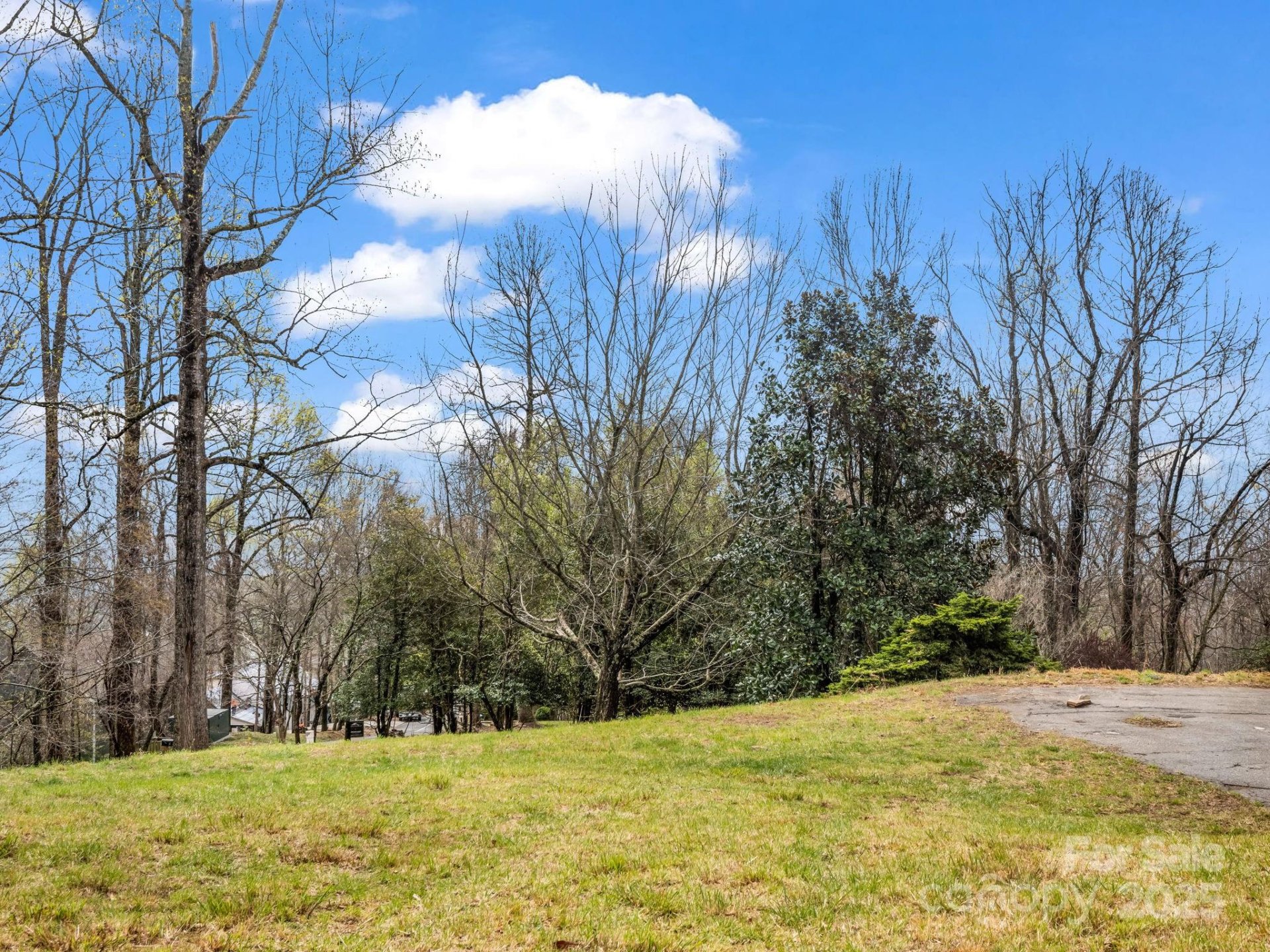Property image 3 at 5 Chestnut Top Circle, Mills River, NC 28759