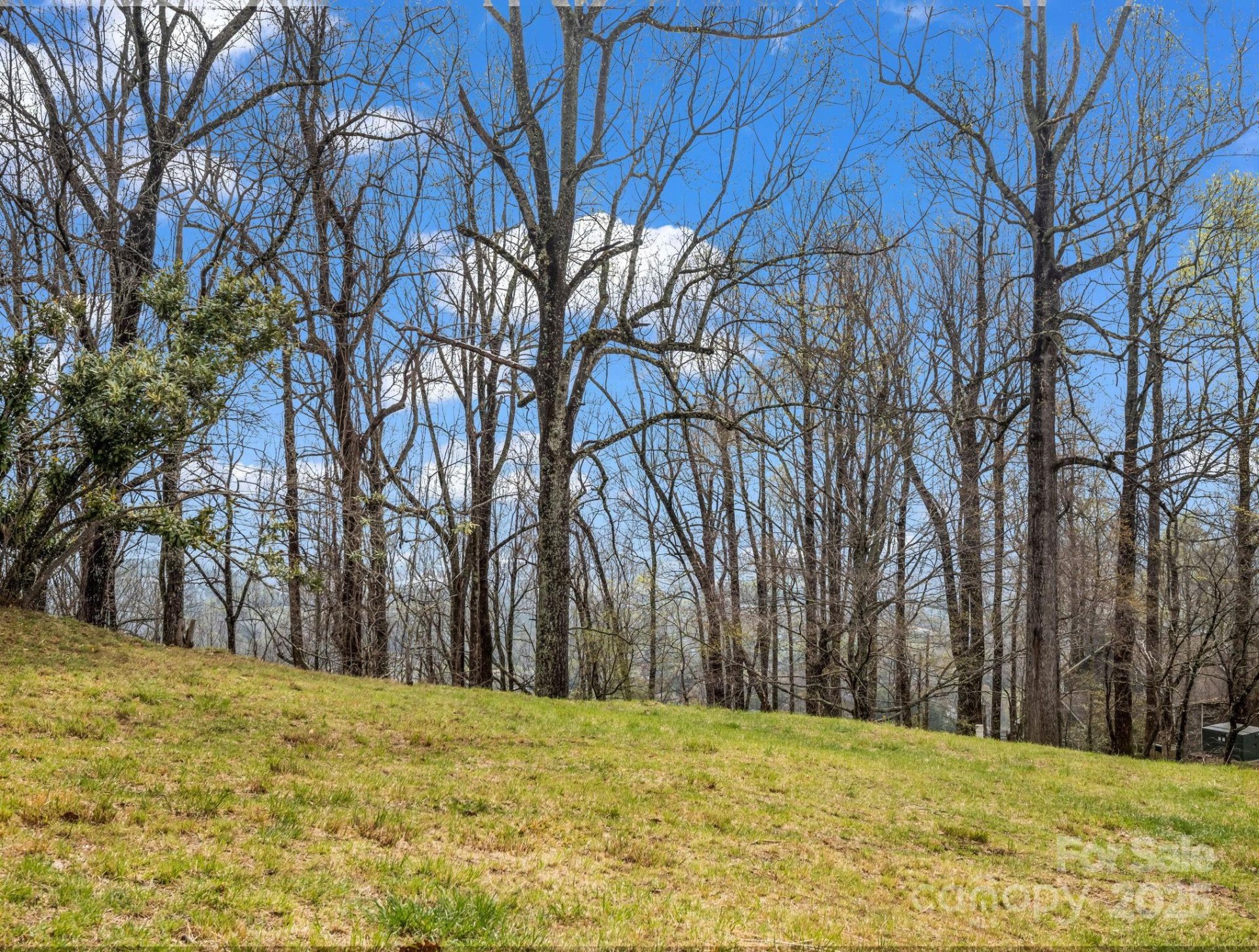 Property image 4 at 5 Chestnut Top Circle, Mills River, NC 28759
