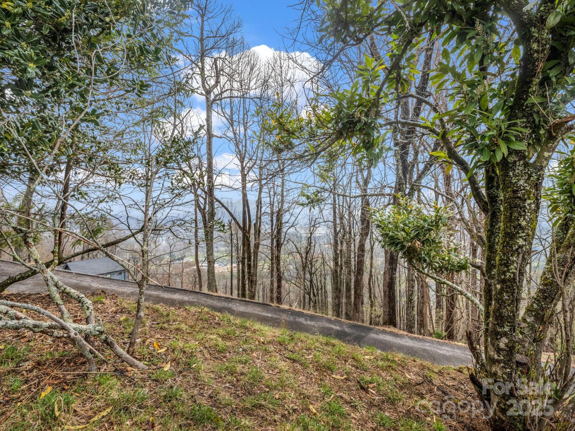 Property image 5 at 5 Chestnut Top Circle, Mills River, NC 28759