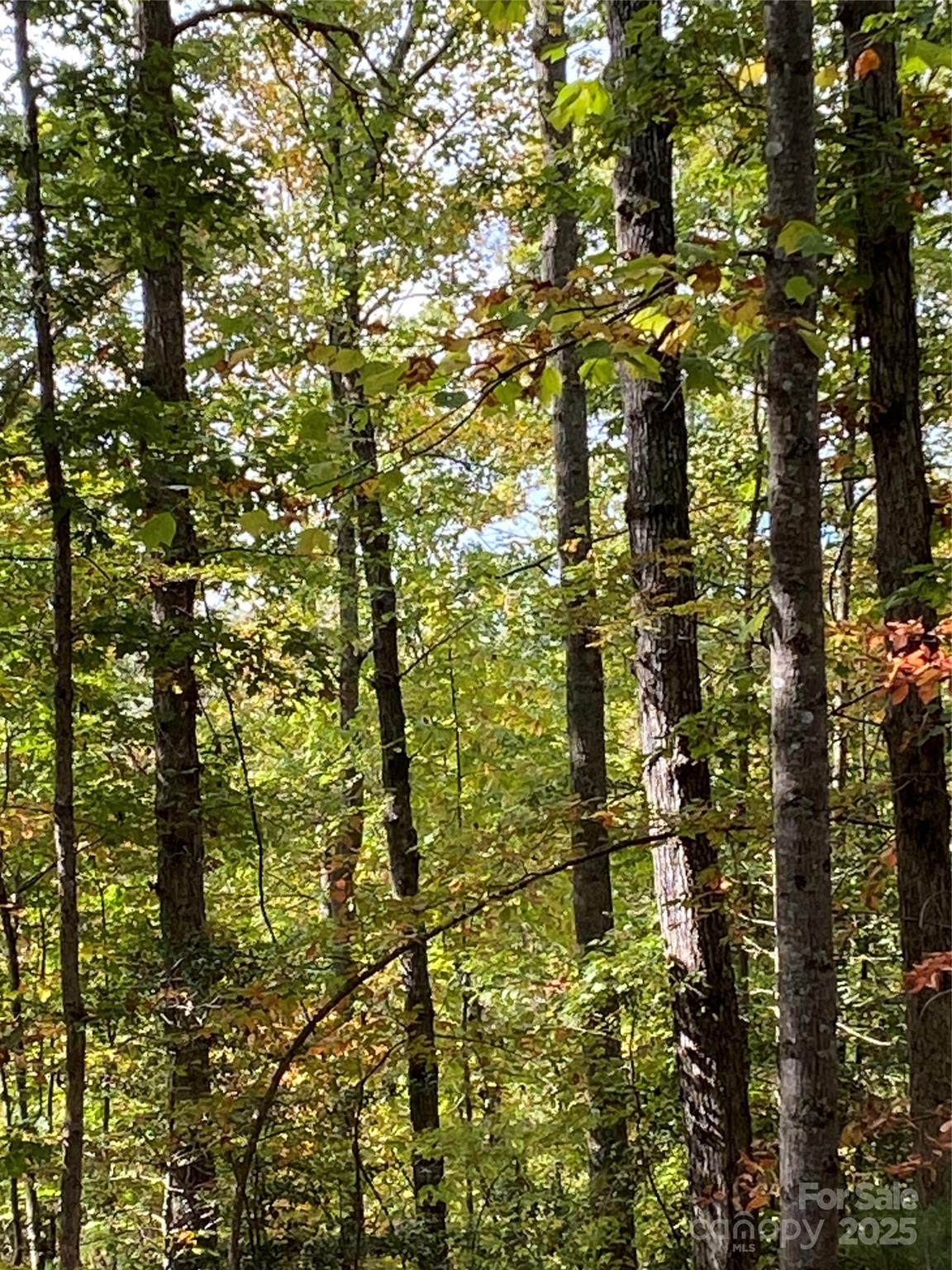 Property at Lot 28 Mentink Way, Nebo, NC 28761