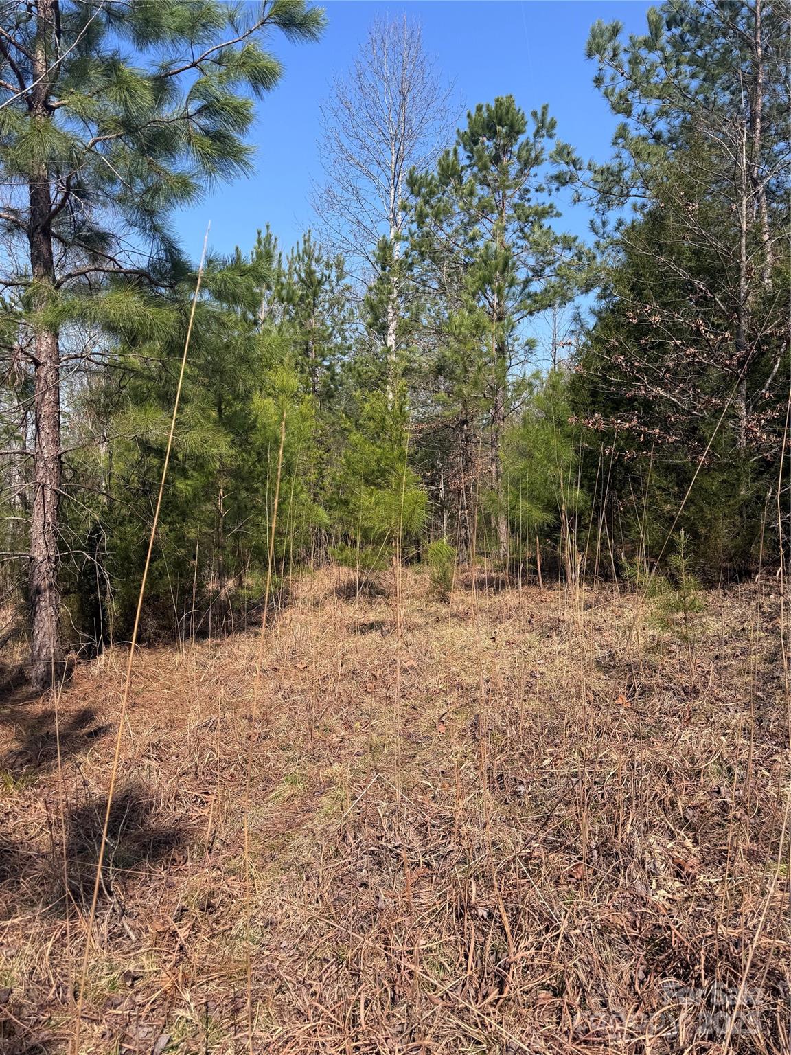 Property image 2 at 0 Cross Creek Drive, Rutherfordton, NC 28139