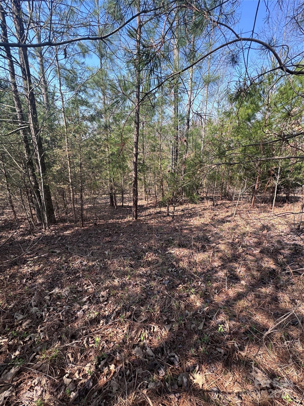 Property image 3 at 0 Cross Creek Drive, Rutherfordton, NC 28139