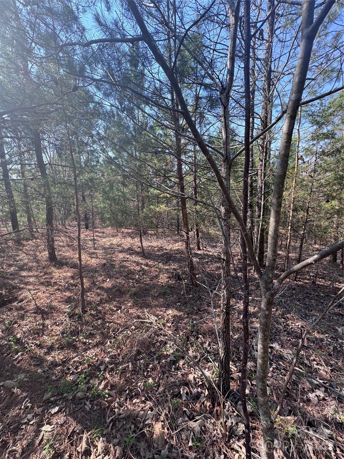 Property image 5 at 0 Cross Creek Drive, Rutherfordton, NC 28139