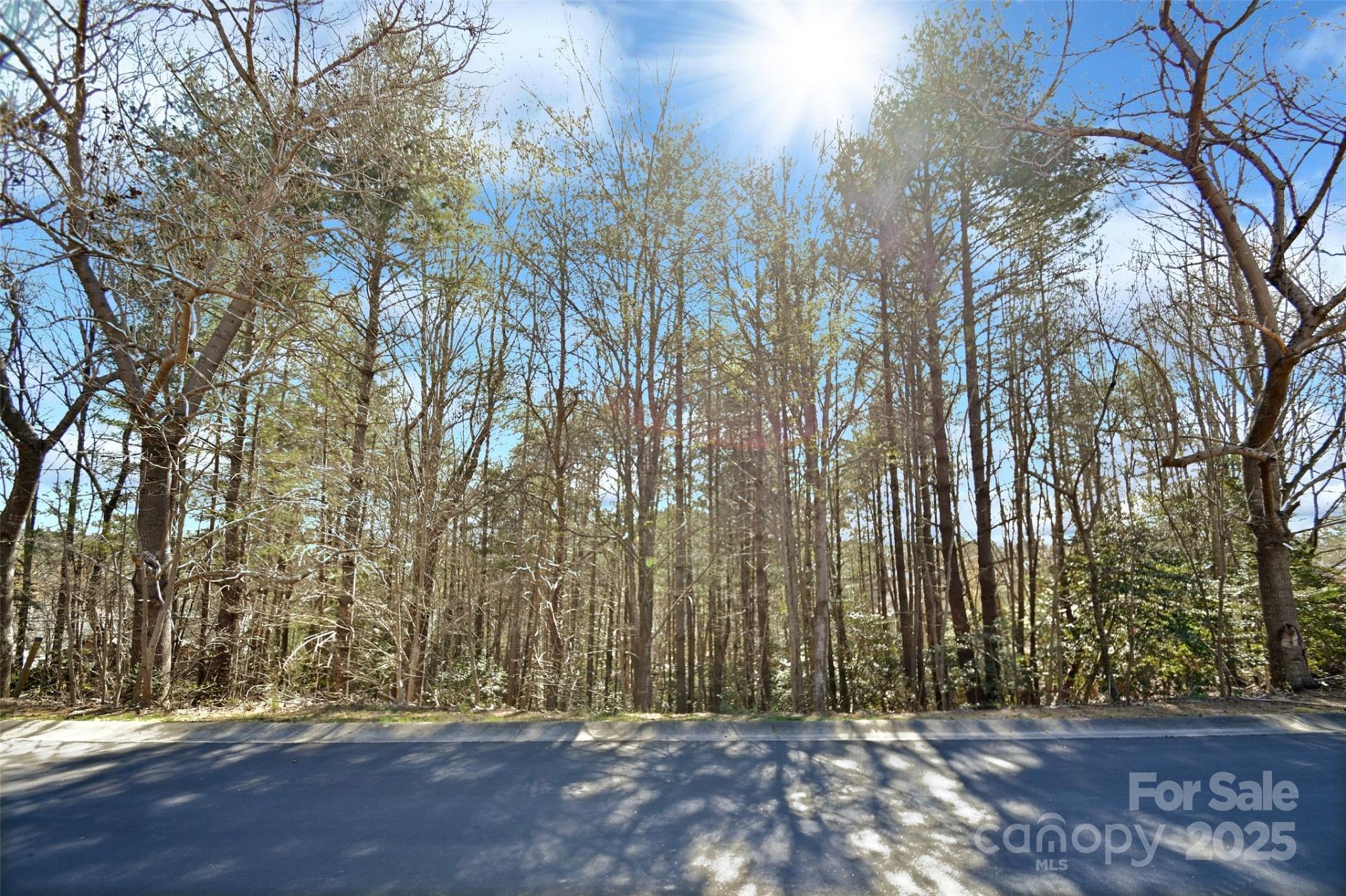 Property image 5 at 1551 Braxton Gate Drive, Morganton, NC 28655