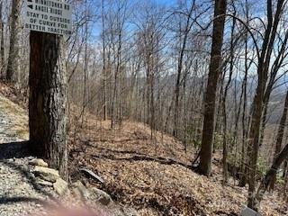 Property image 3 at 28 Angel Road, Waynesville, NC 28785