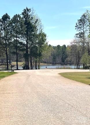 Property image 3 at 201 Fancy Lady Court, York, SC 29745