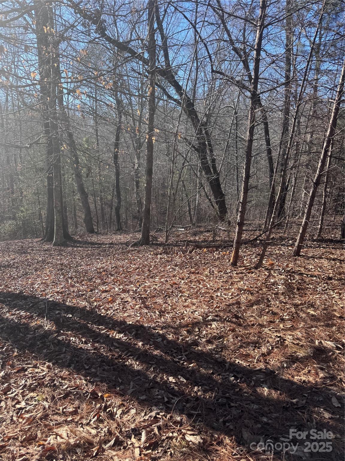 0 Clearwater Parkway