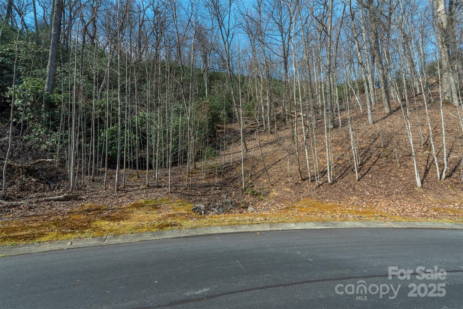Property image 2 at 0 Shining Rock Path, Horse Shoe, NC 28742