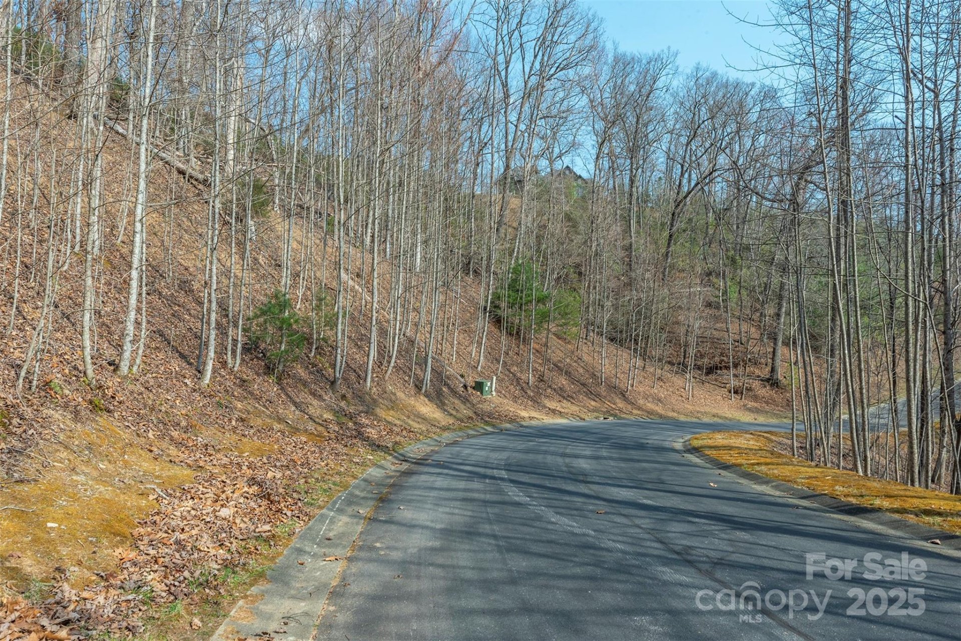 Property image 4 at 0 Shining Rock Path, Horse Shoe, NC 28742