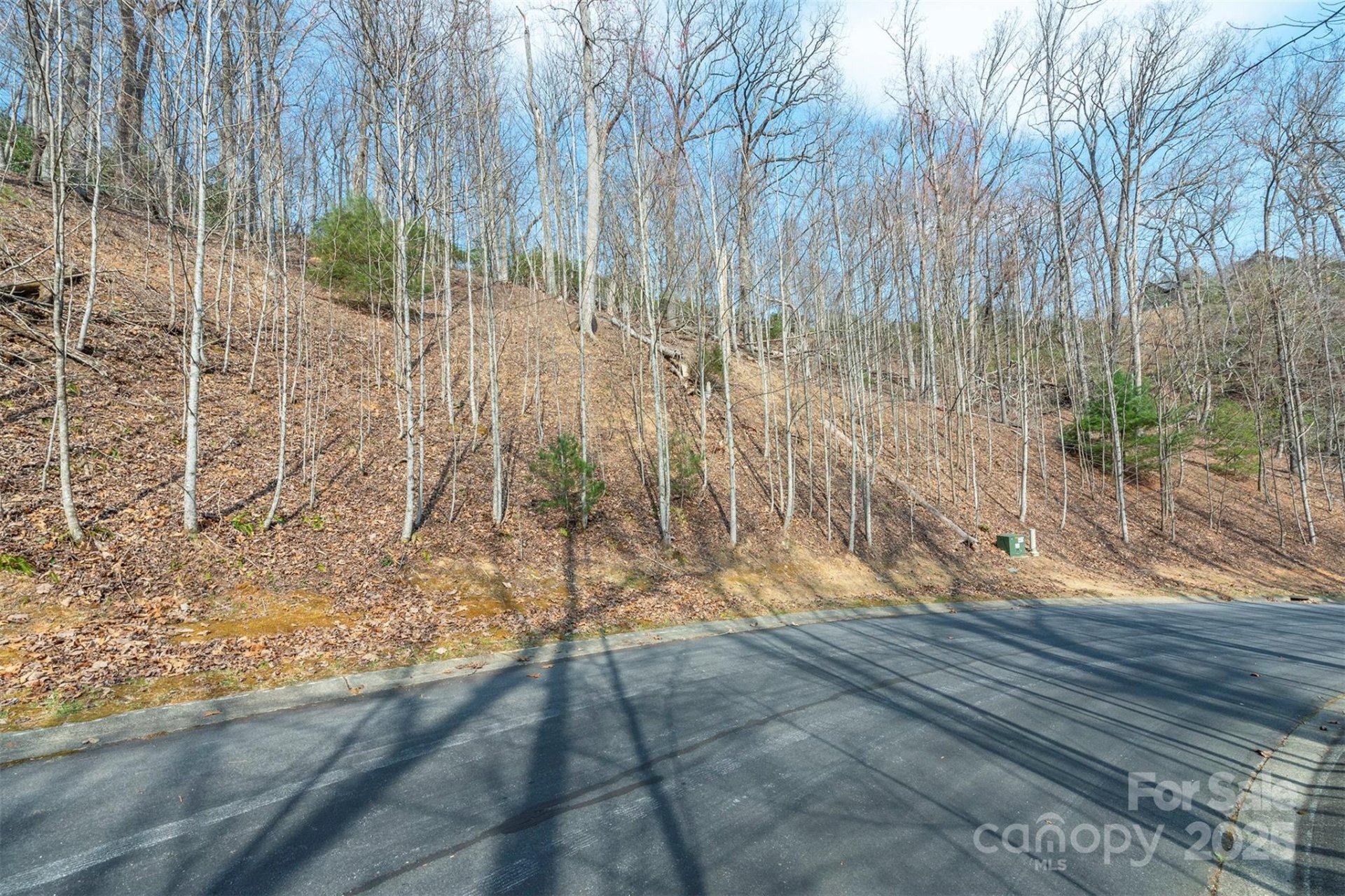 Property image 2 at 0 Shining Rock Path, Horse Shoe, NC 28742