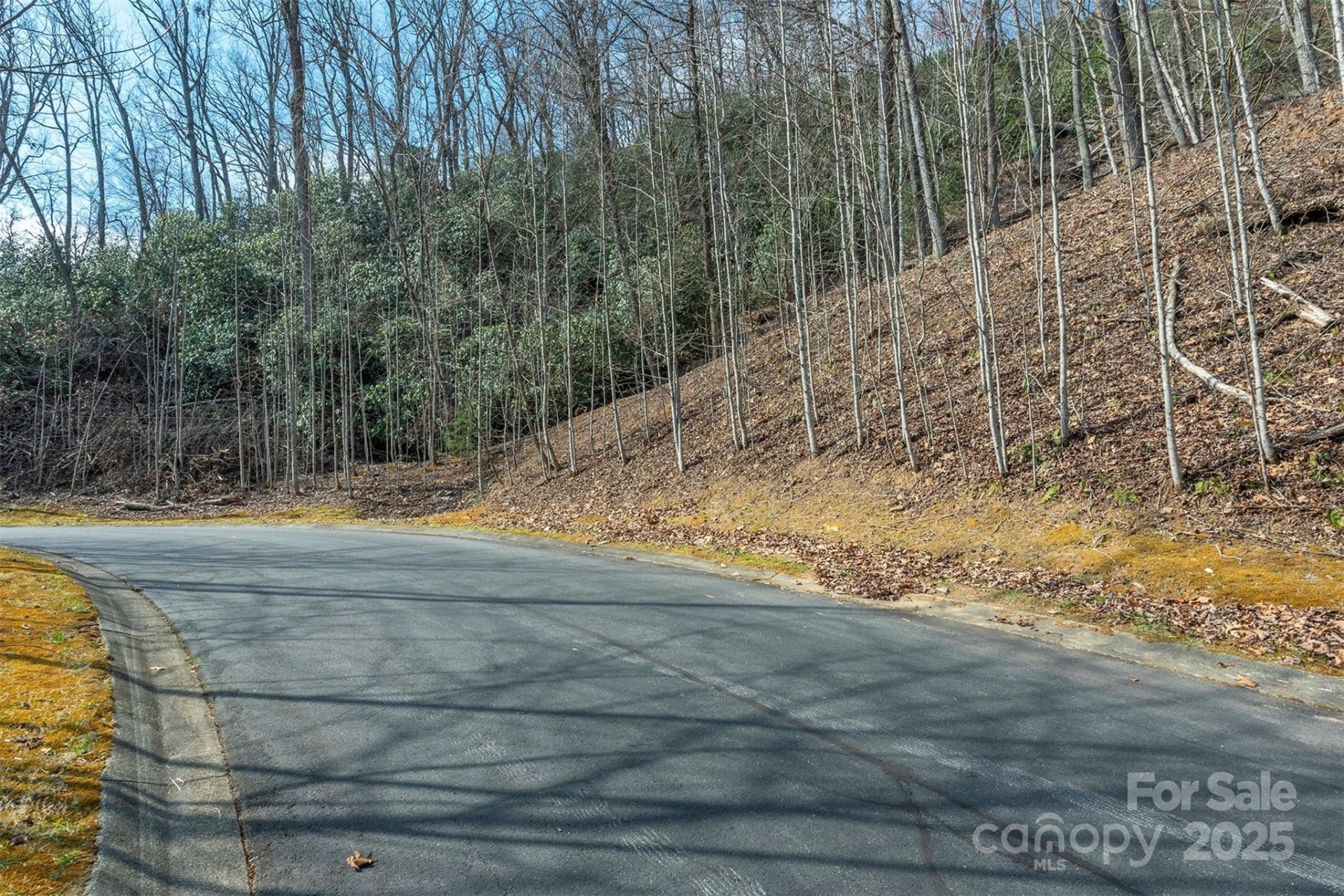 Property image 3 at 0 Shining Rock Path, Horse Shoe, NC 28742