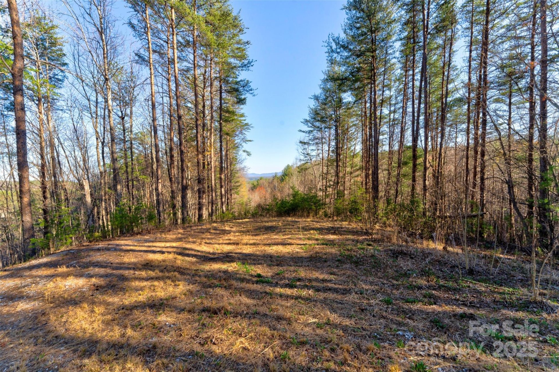 Property image 2 at 9144 Yellow Pine Road, Nebo, NC 28761