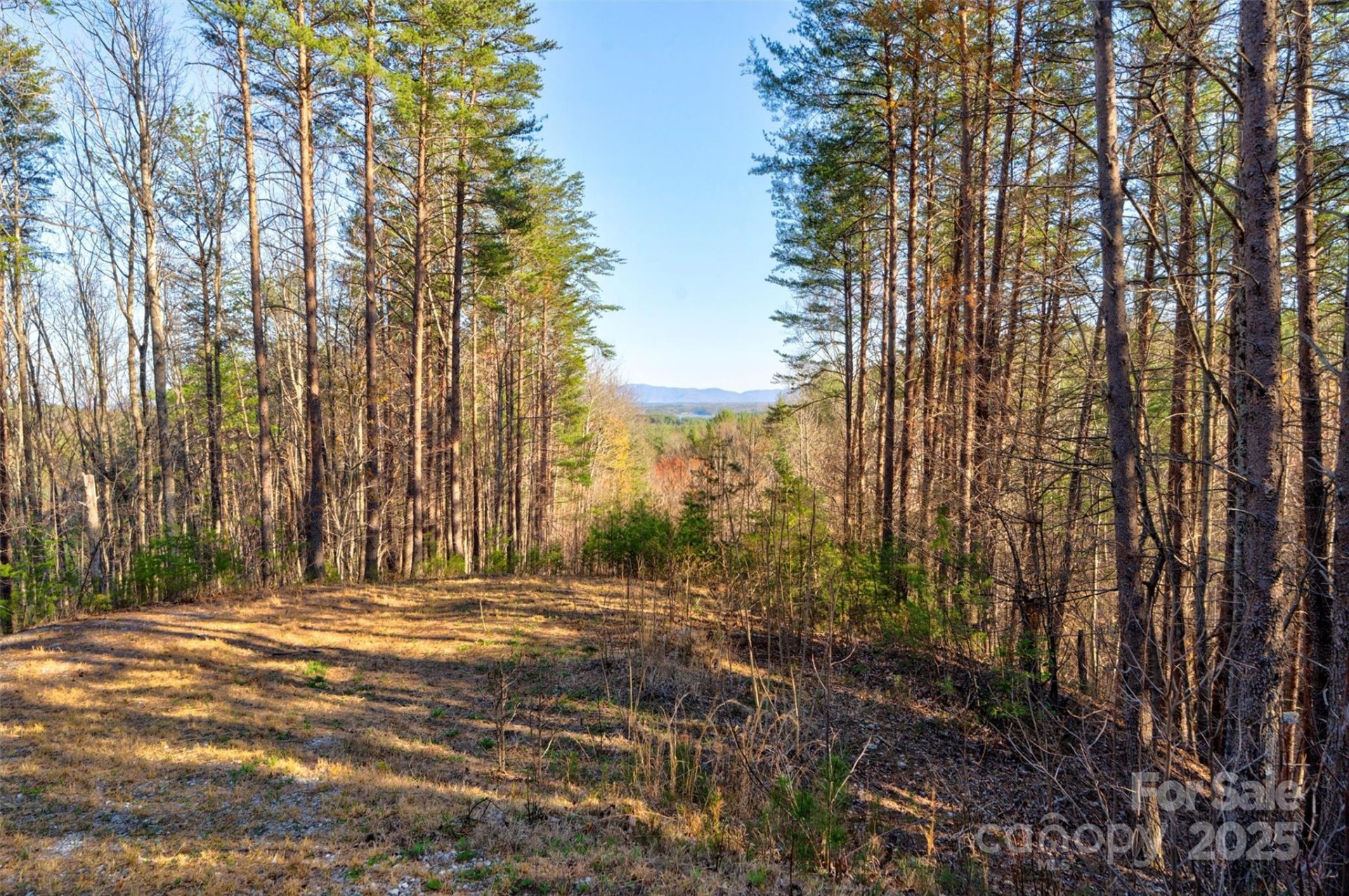 Property image 3 at 9144 Yellow Pine Road, Nebo, NC 28761
