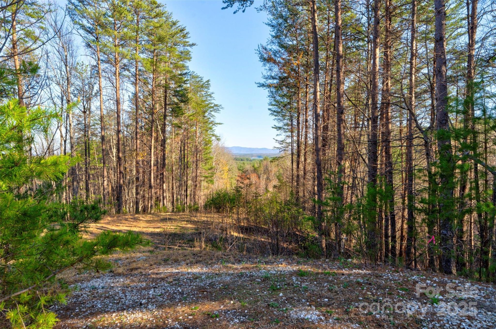 Property image 4 at 9144 Yellow Pine Road, Nebo, NC 28761