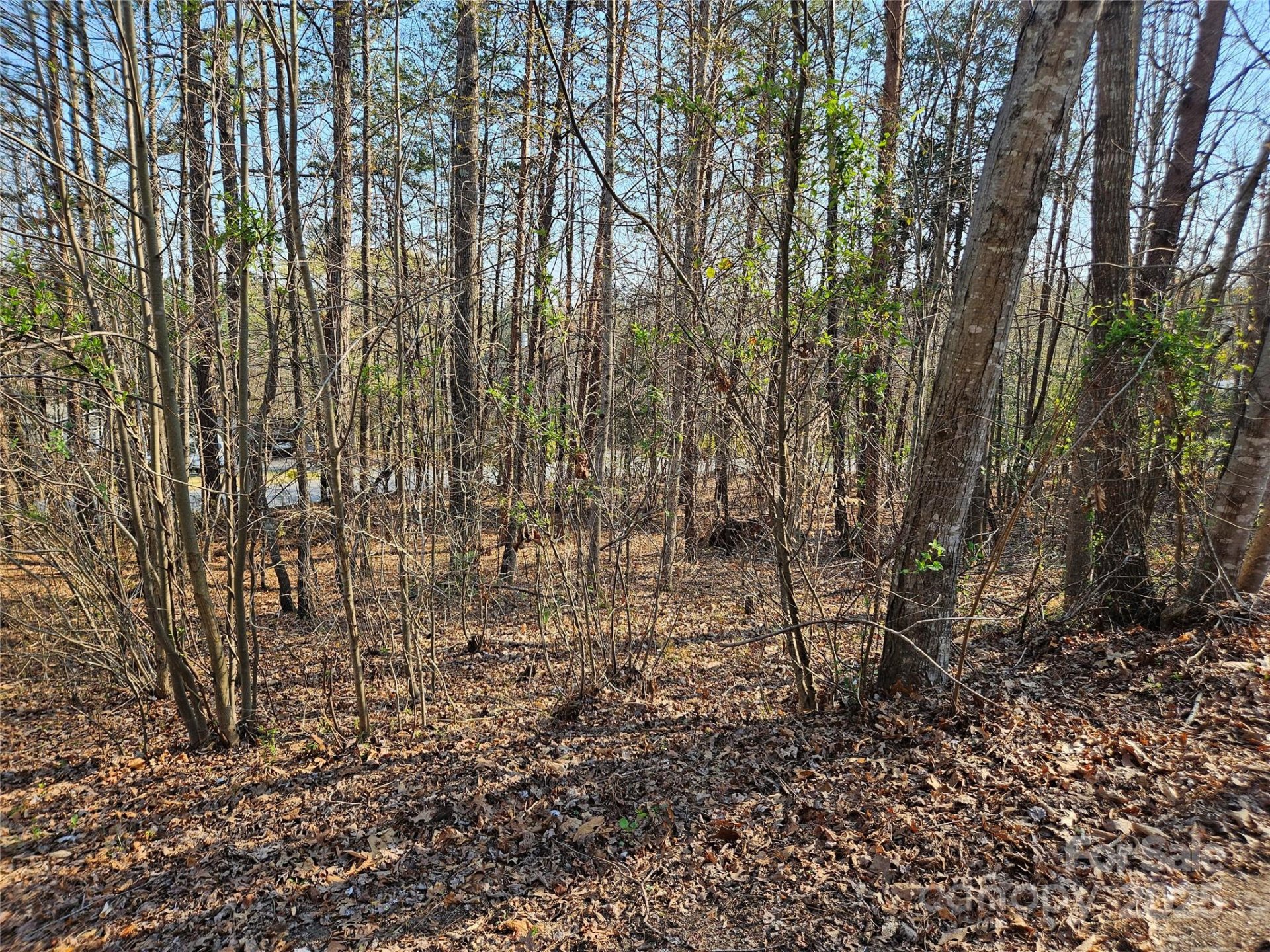 Property image 4 at 149 River Breeze Drive, Morganton, NC 28655