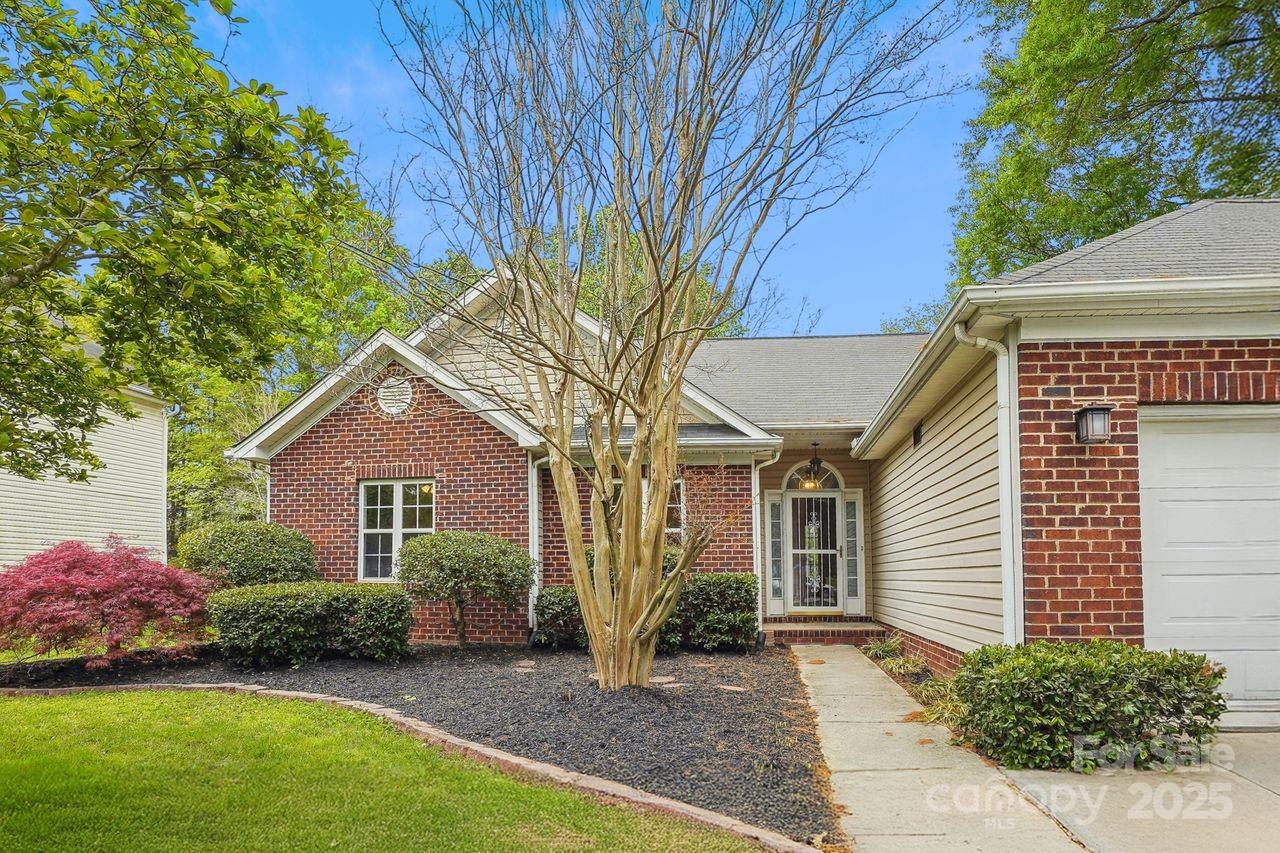 Mabry Park, Rock Hill Community