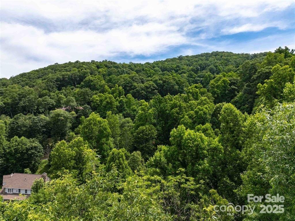 Property image 3 at 9999 Centennial Drive, Waynesville, NC 28786