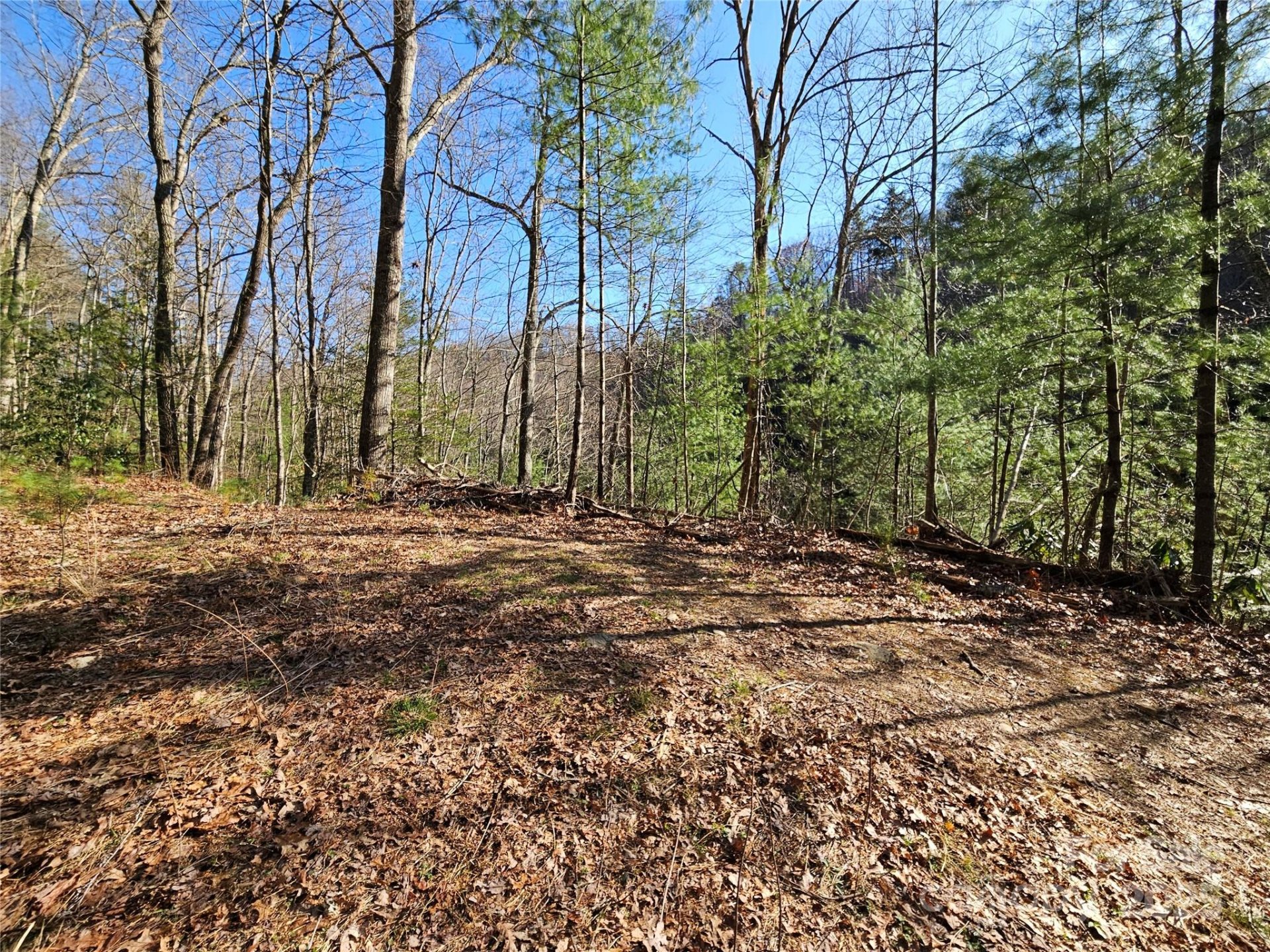 Property image 2 at 0 Laurel Branch Road, Waynesville, NC 28785