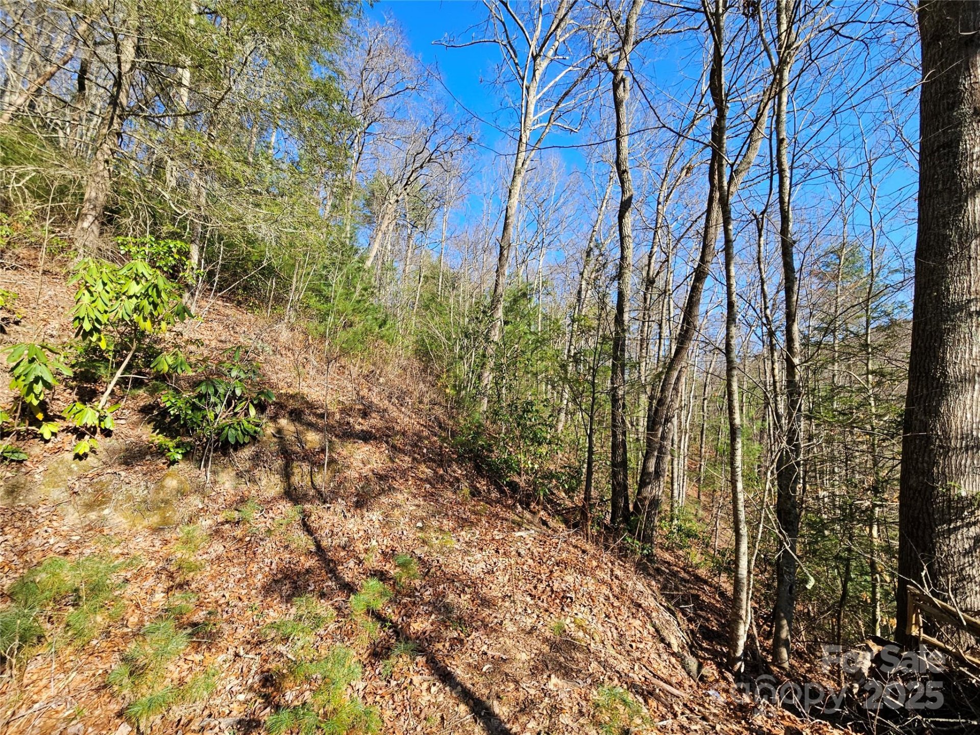 Property image 3 at 0 Laurel Branch Road, Waynesville, NC 28785
