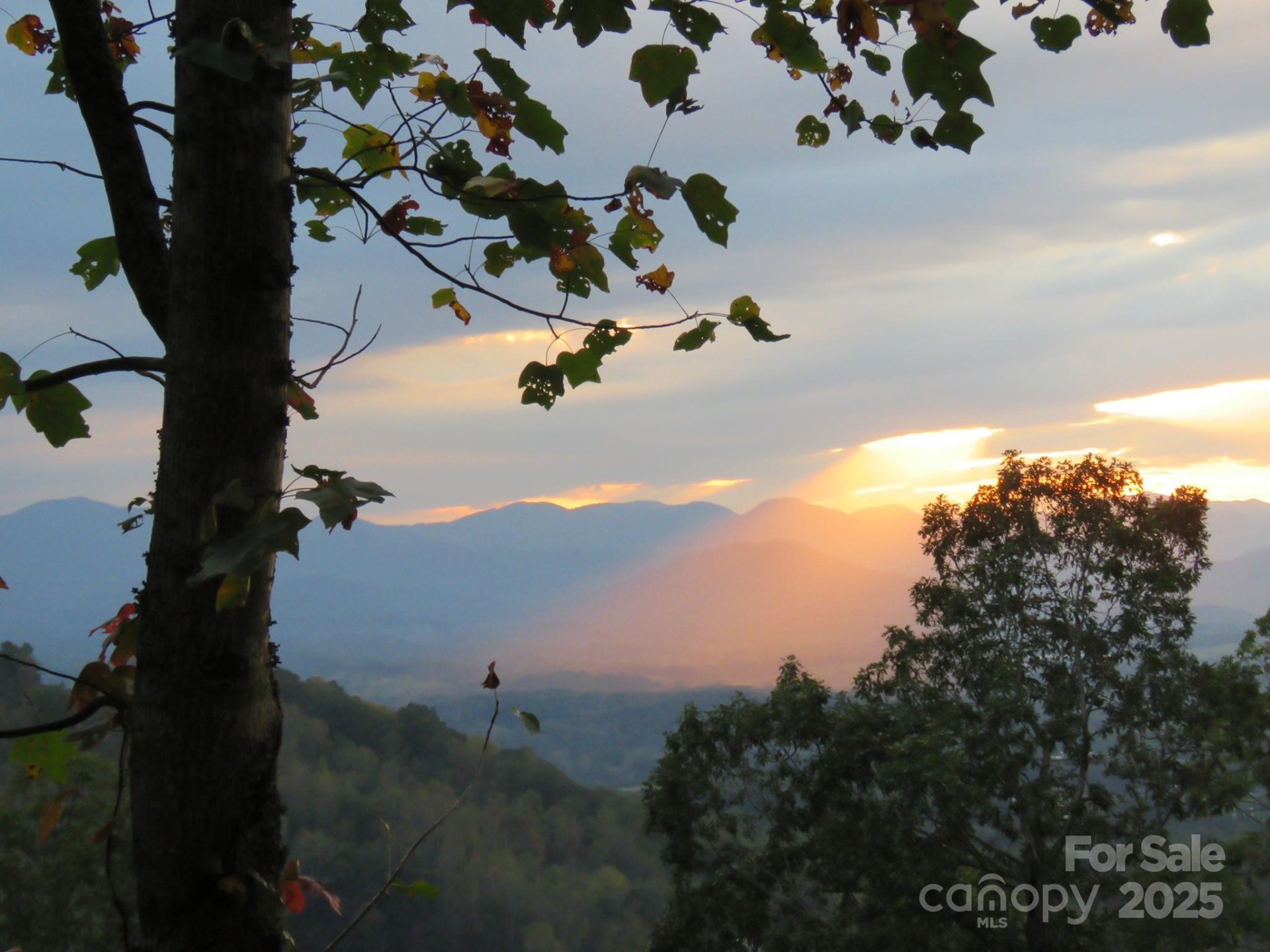5 Soaring Hawk View