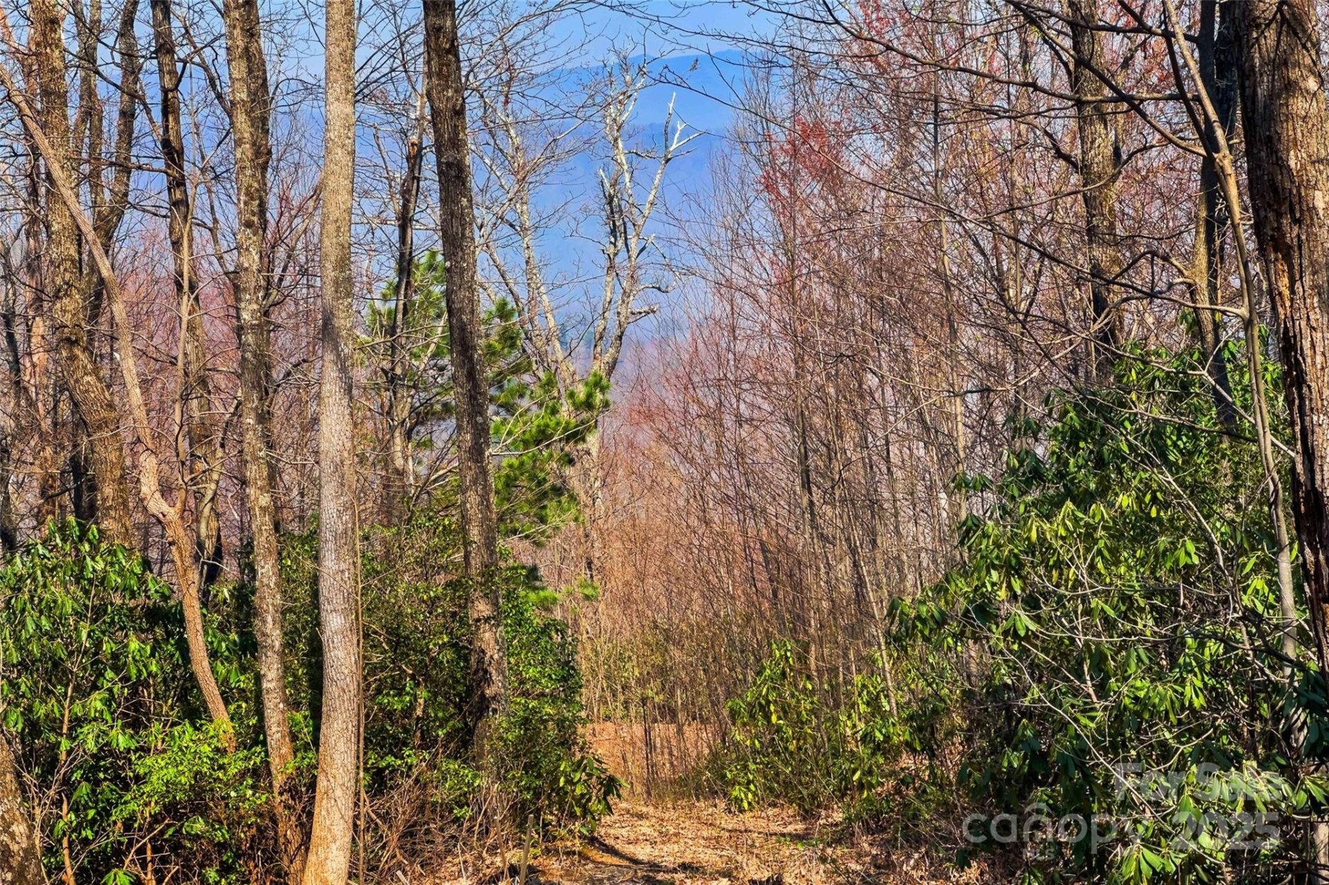 Property image 4 at 1099 Mitchell View Drive, Old Fort, NC 28762