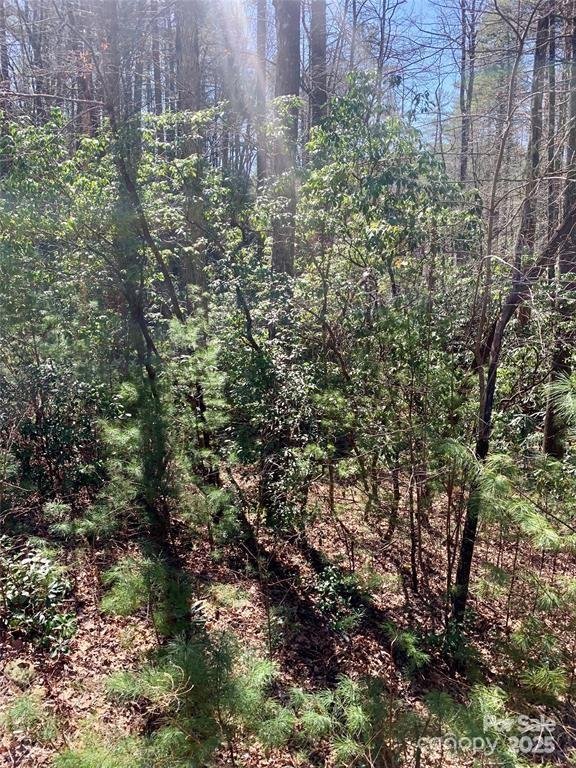 Property image 3 at 22 Double Creek Road, Brevard, NC 28712