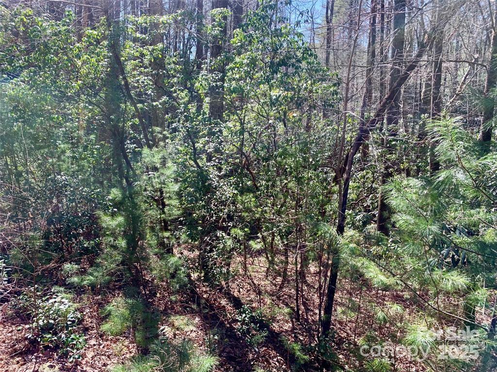 Property image 4 at 22 Double Creek Road, Brevard, NC 28712