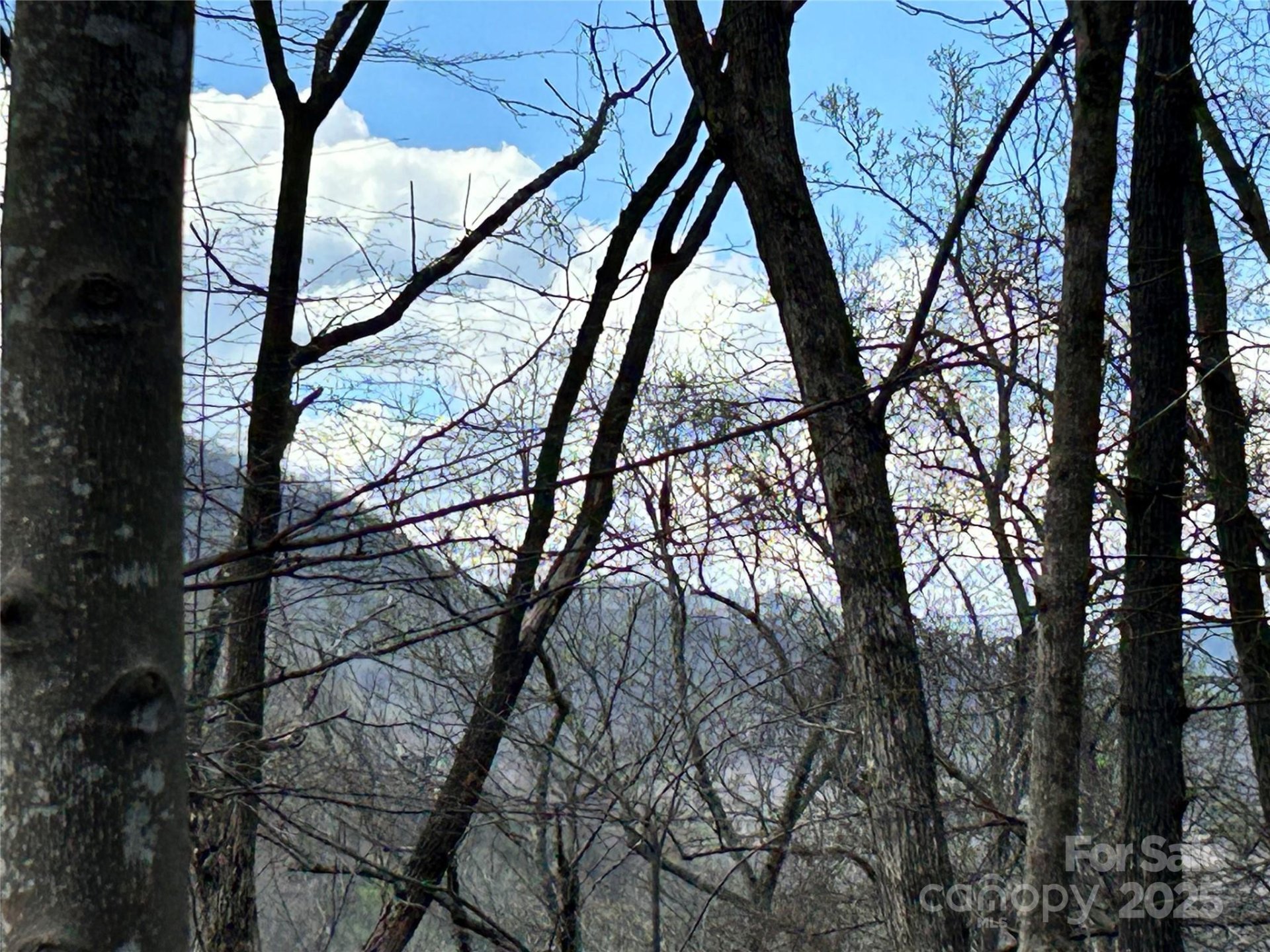 Property image 3 at 0 Hornets Nest Road, Maggie Valley, NC 28751