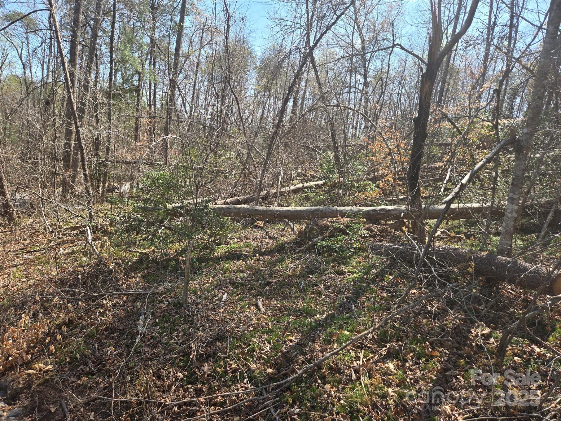 Property image 2 at Lot 15 Jonathan Lane, Lake Lure, NC 28746
