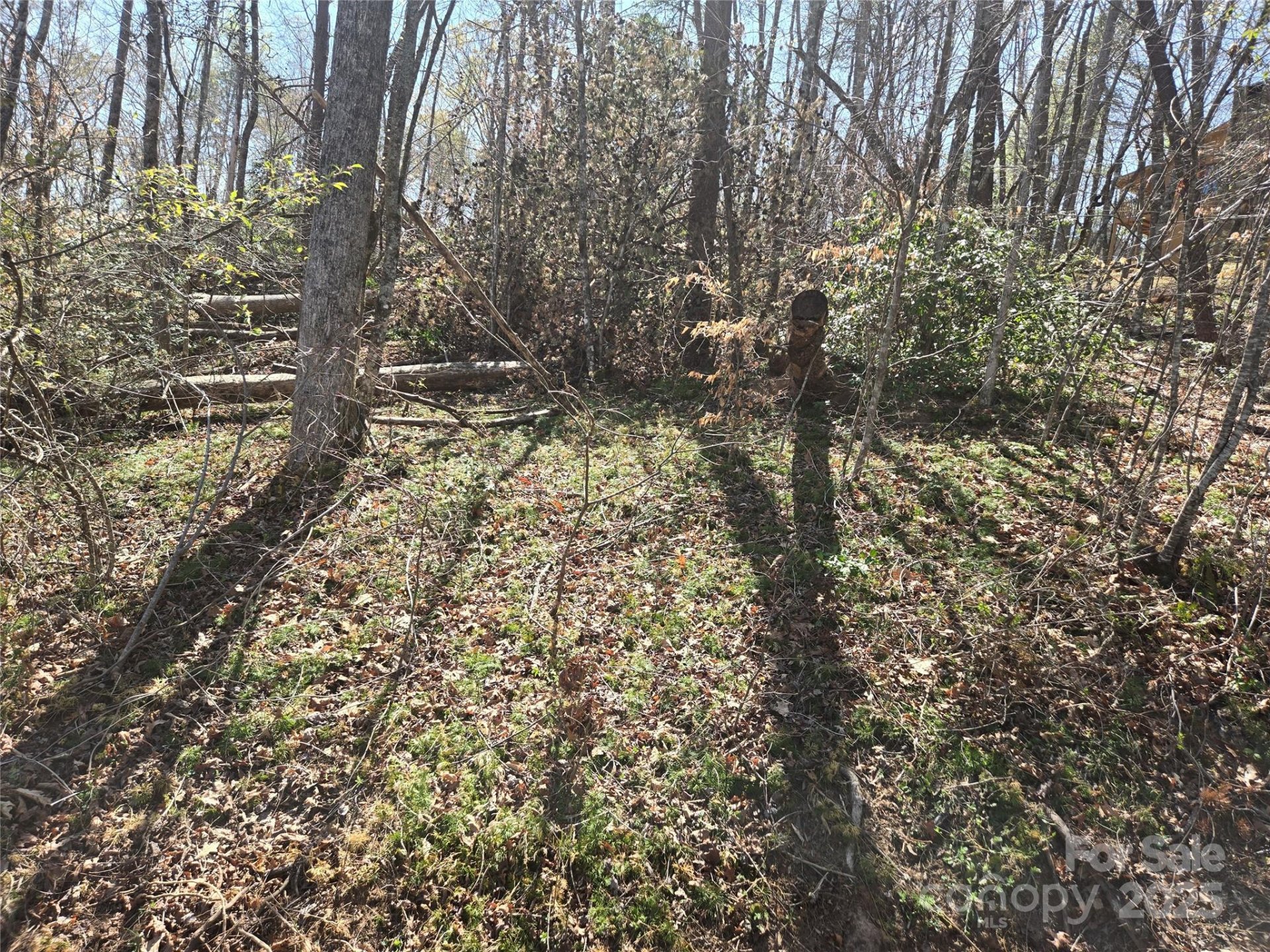 Property image 4 at Lot 15 Jonathan Lane, Lake Lure, NC 28746