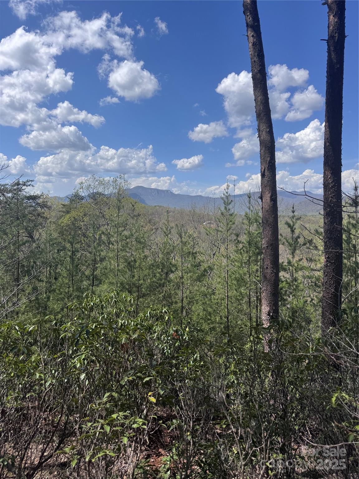 0 High Pines Loop