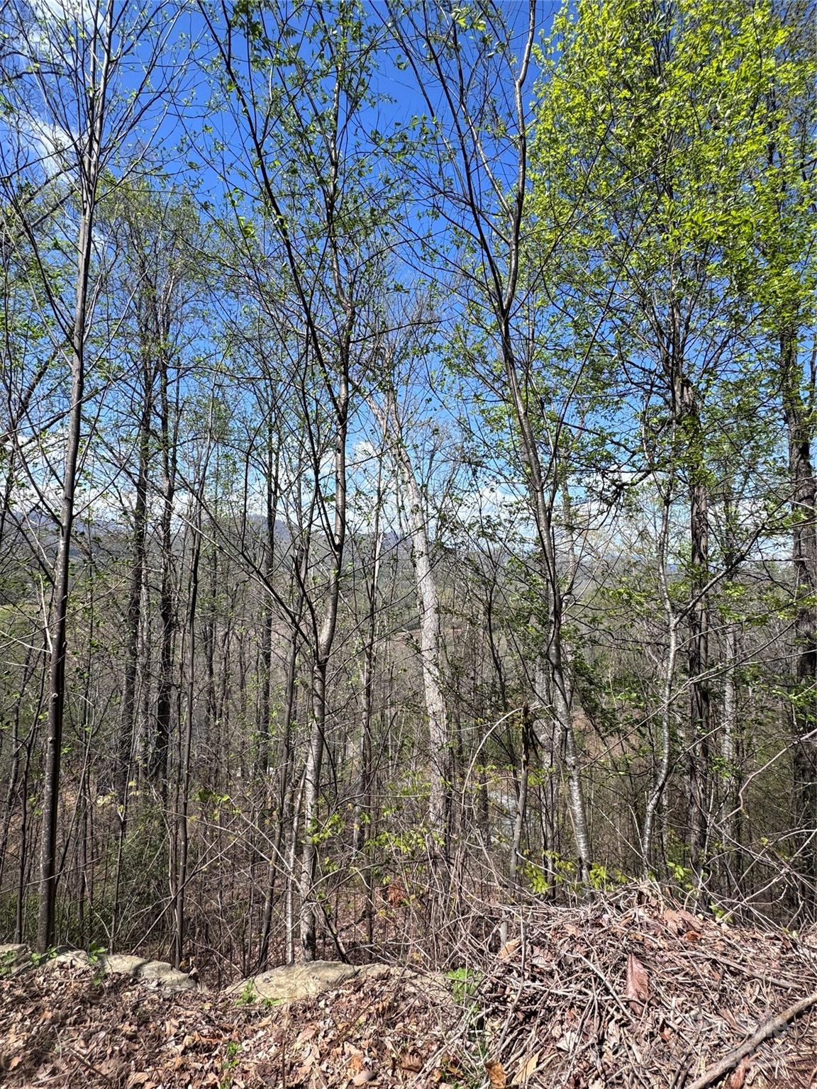 Property image 2 at 0 High Pines Loop, Lake Lure, NC 28746