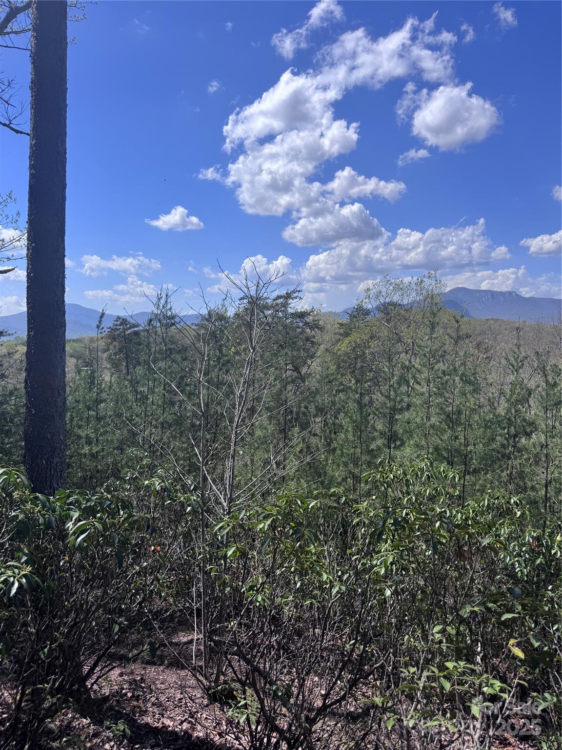 Property image 3 at 0 High Pines Loop, Lake Lure, NC 28746