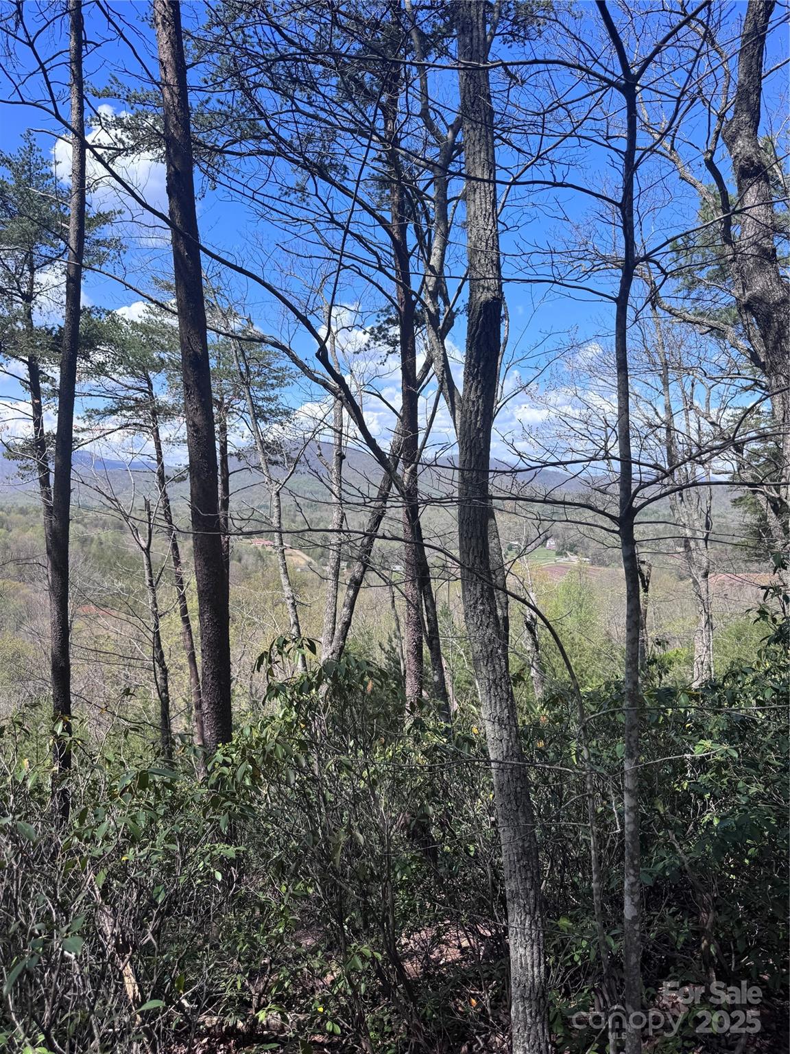 Property image 4 at 0 High Pines Loop, Lake Lure, NC 28746
