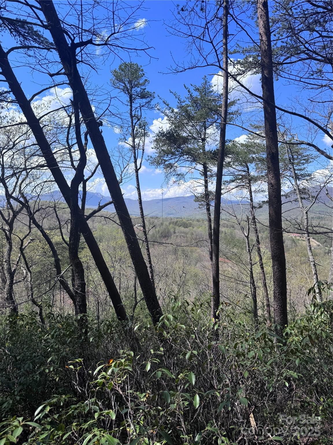 Property image 5 at 0 High Pines Loop, Lake Lure, NC 28746