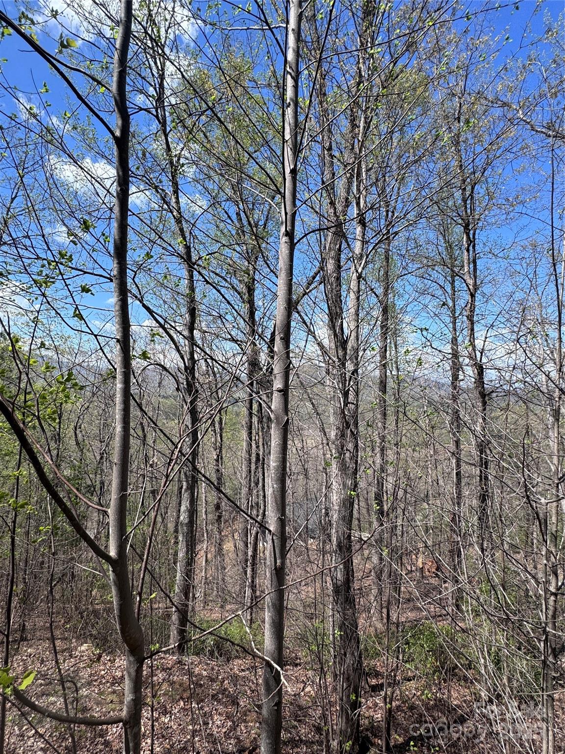 0 High Pines Loop