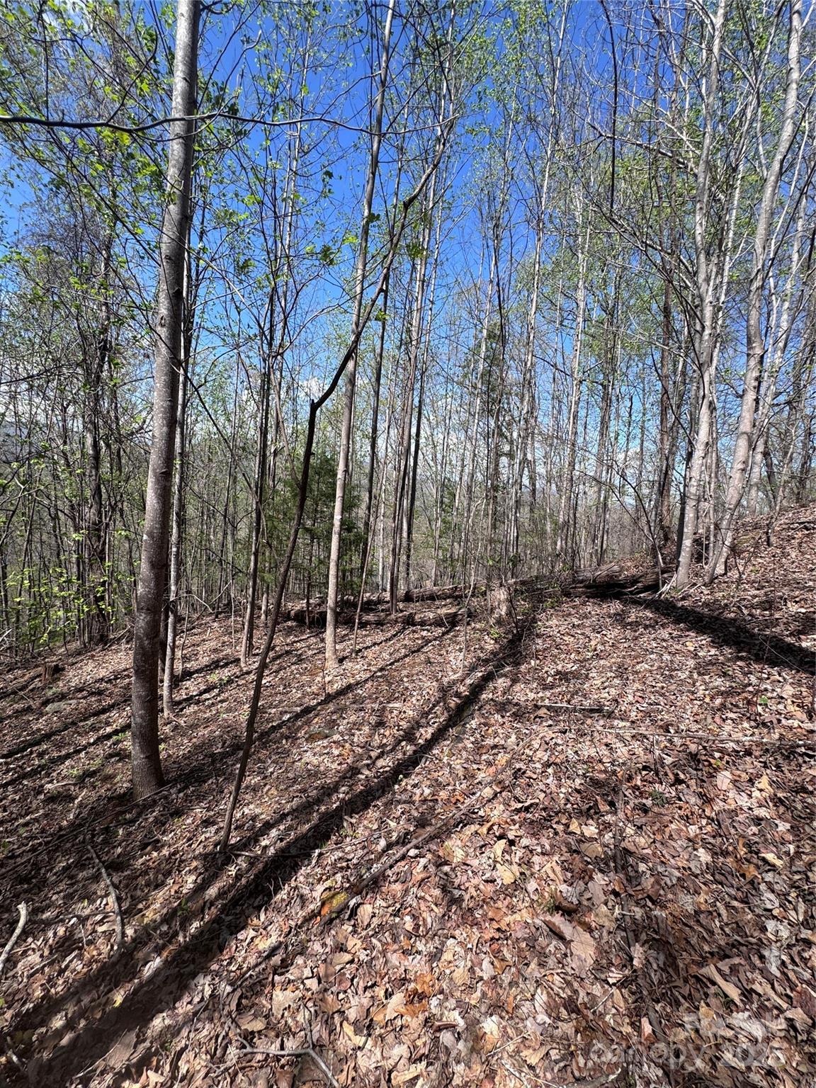 Property image 3 at 0 High Pines Loop, Lake Lure, NC 28746