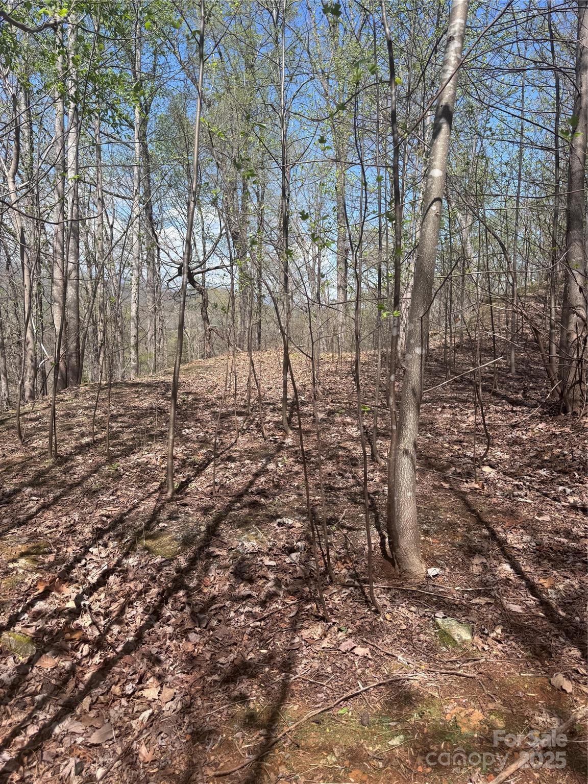 Property image 4 at 0 High Pines Loop, Lake Lure, NC 28746