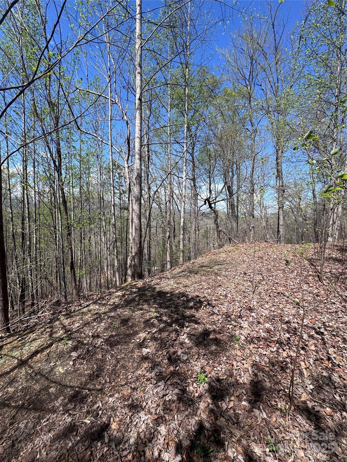 Property image 5 at 0 High Pines Loop, Lake Lure, NC 28746