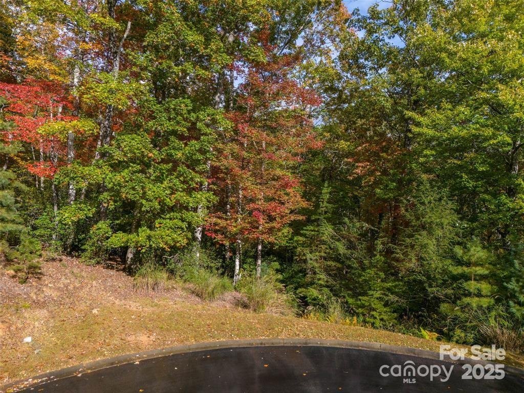 Property image 2 at 99999 Caddis Lane, Mills River, NC 28742