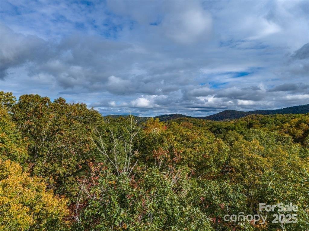 Property image 5 at 99999 Caddis Lane, Mills River, NC 28742