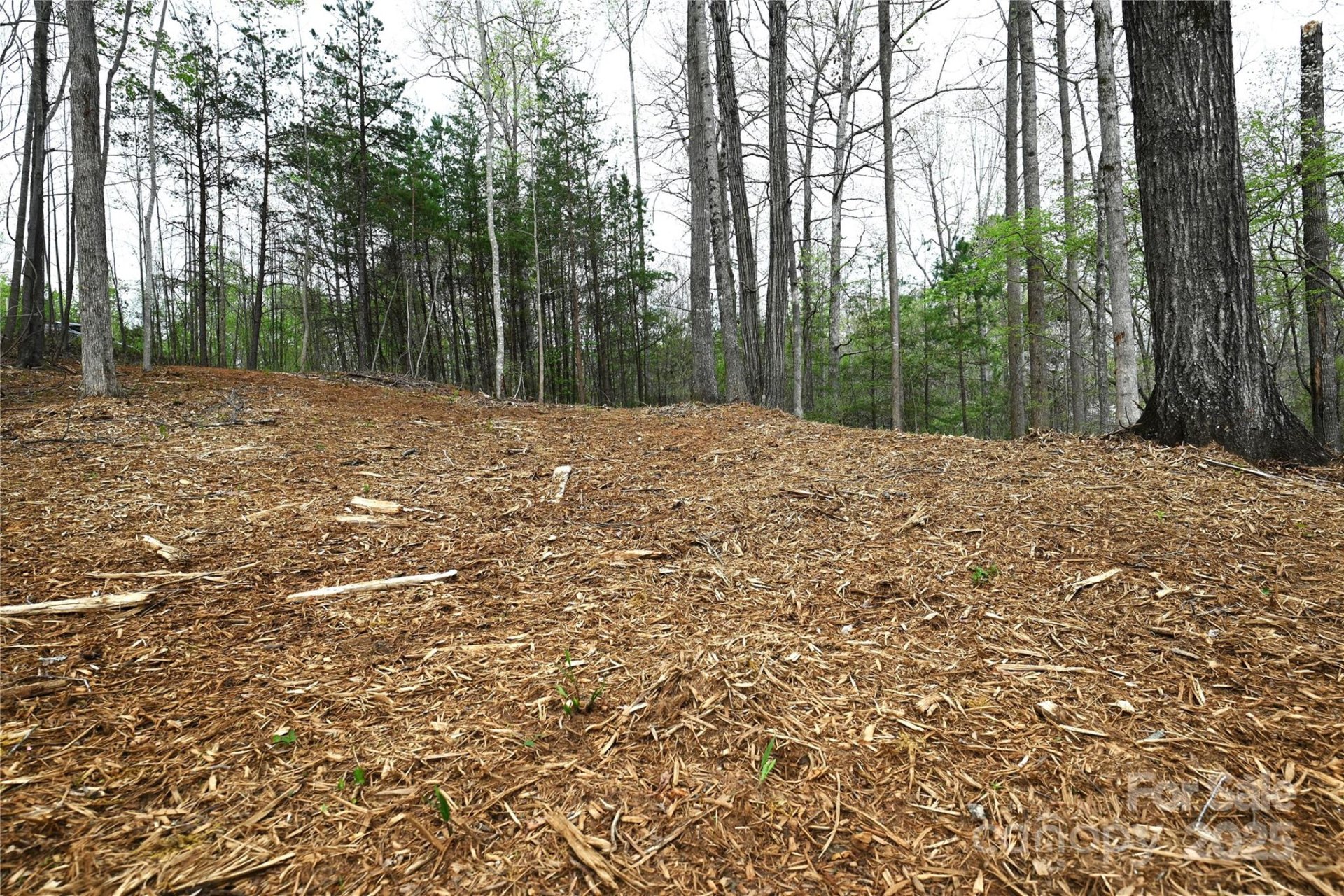 Property image 1 at 2771 Trent Drive, Conover, NC 28613