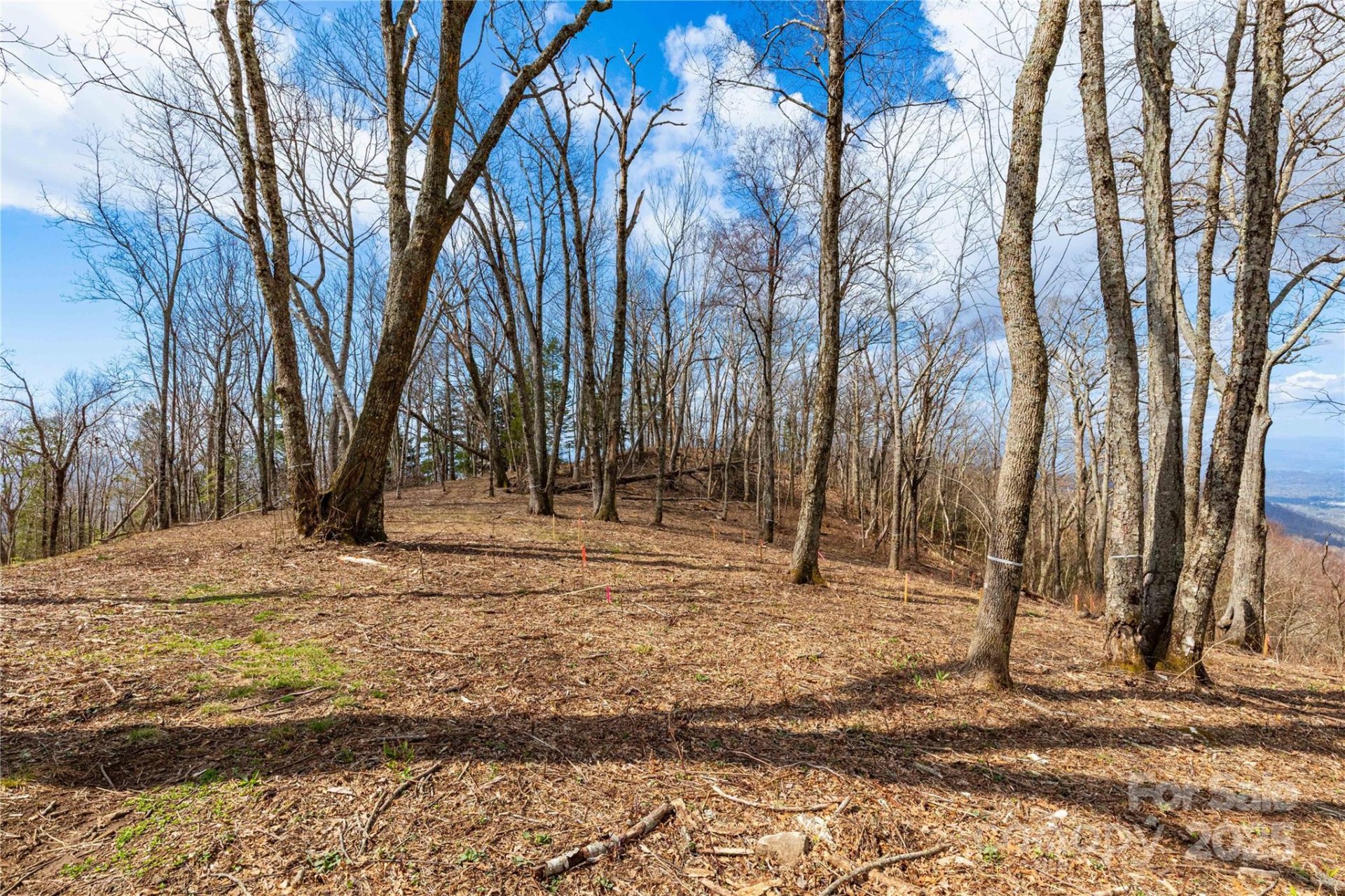 Property image 3 at 703 Fairview Forest Drive, Fairview, NC 28730