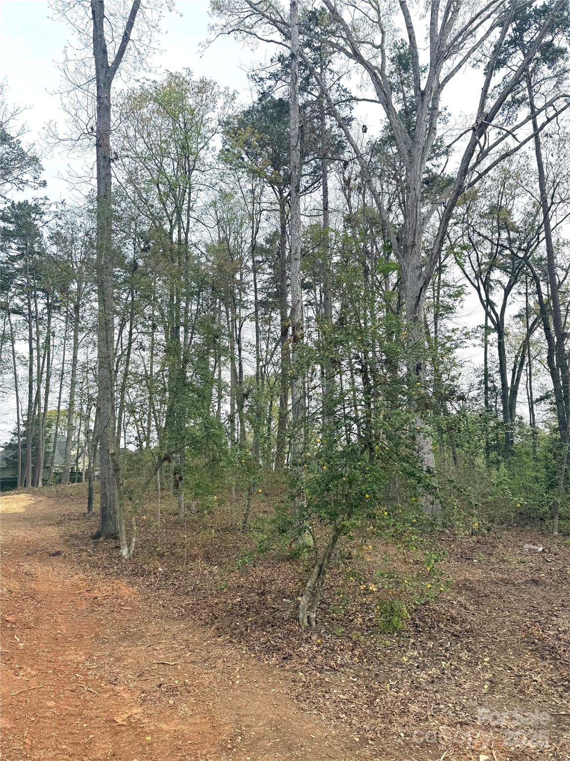 Property image 4 at 102 Archer Glen, New London, NC 28127