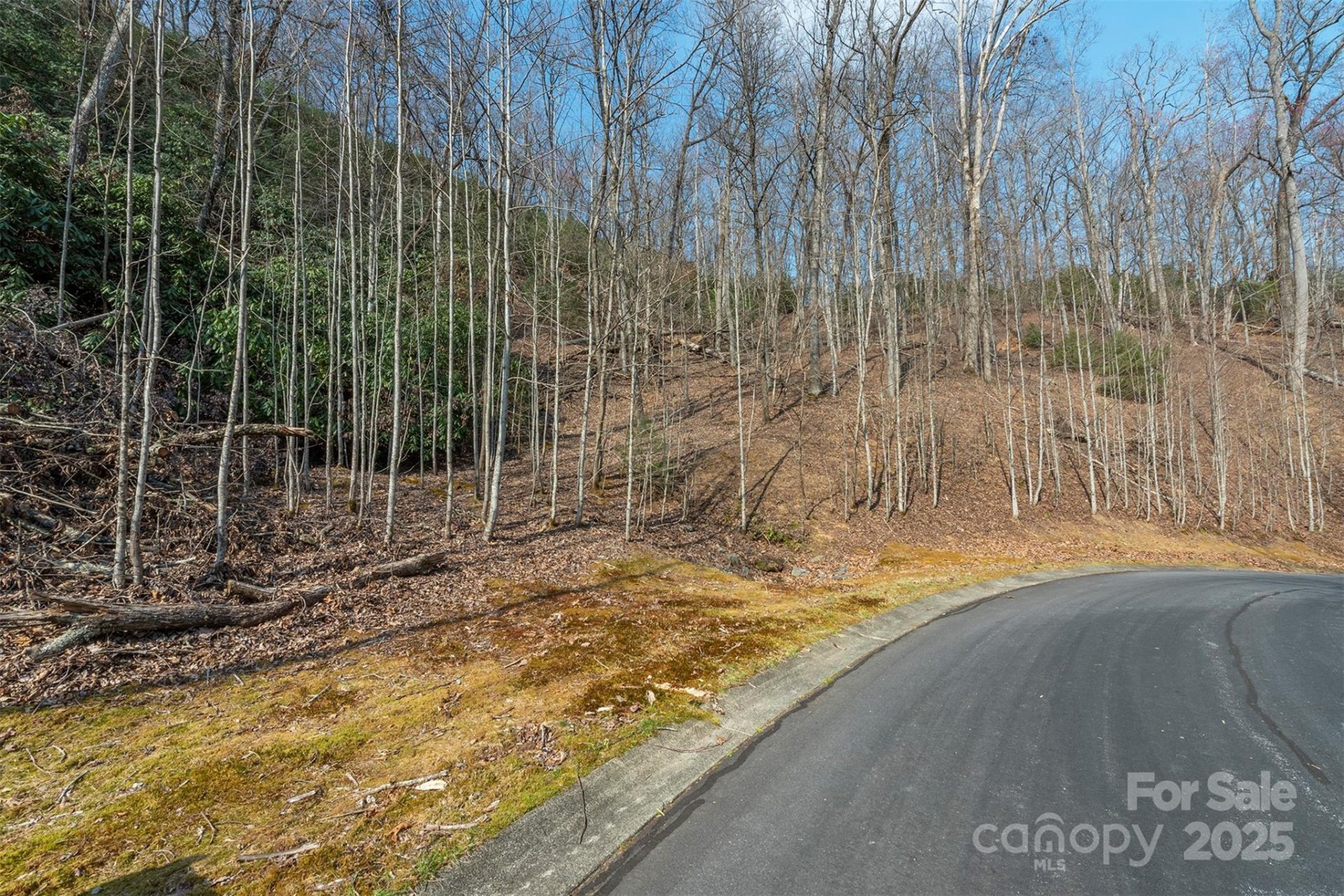 Property image 5 at 0 Shining Rock Path, Horse Shoe, NC 28742