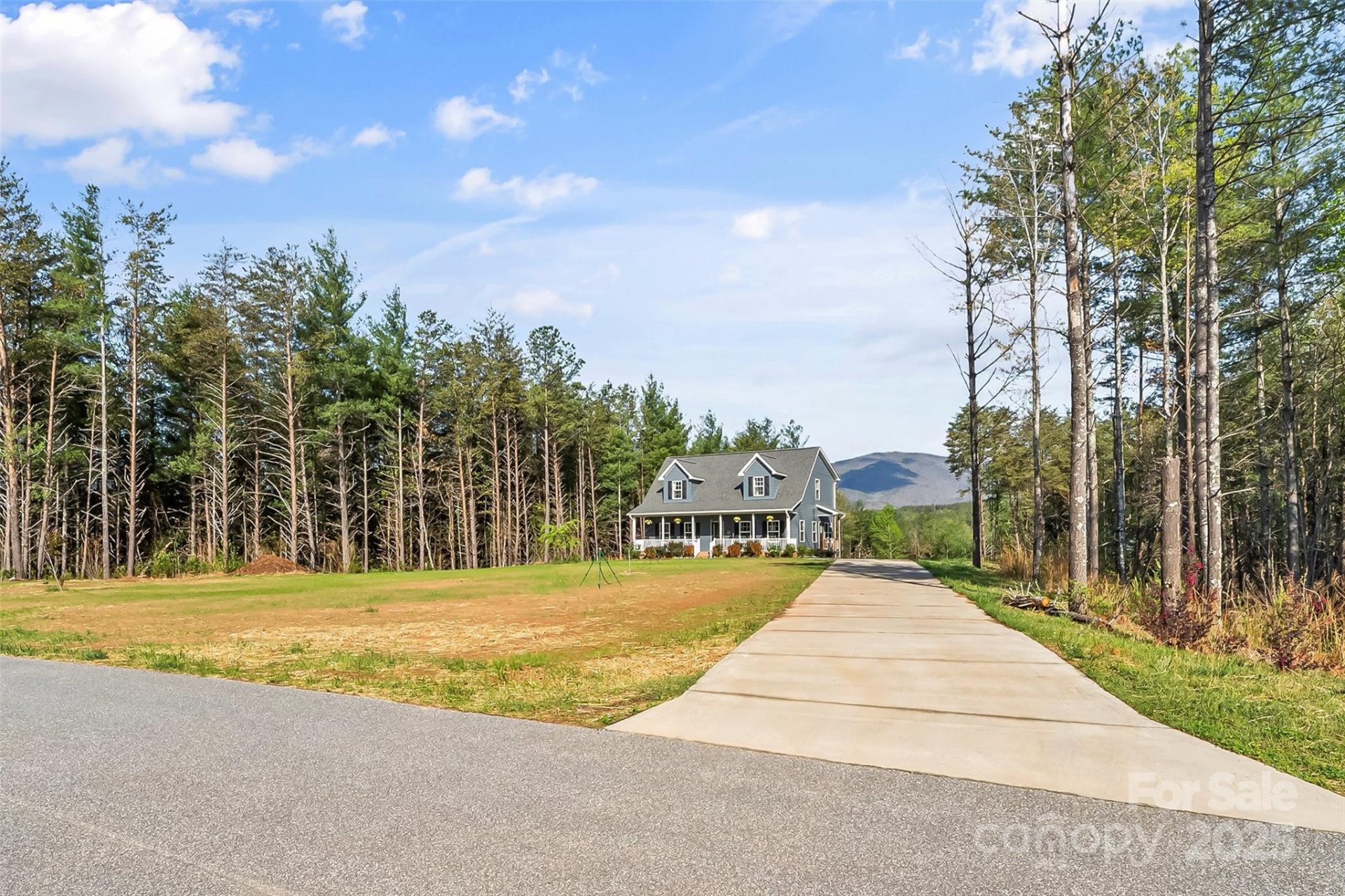 Property image 3 at 1294 Saylor Way, Nebo, NC 28761