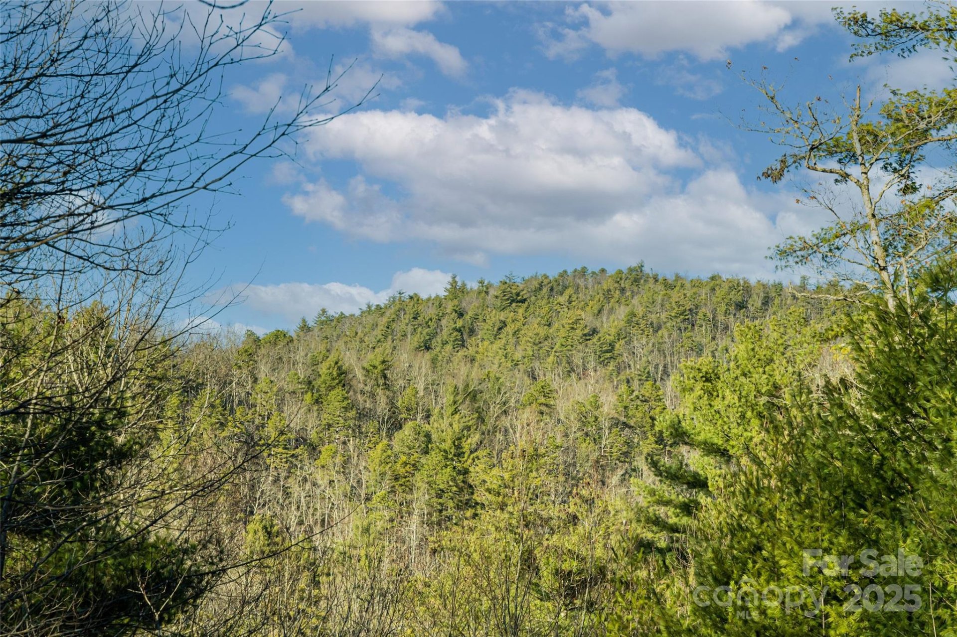 167 Shoal Creek Road