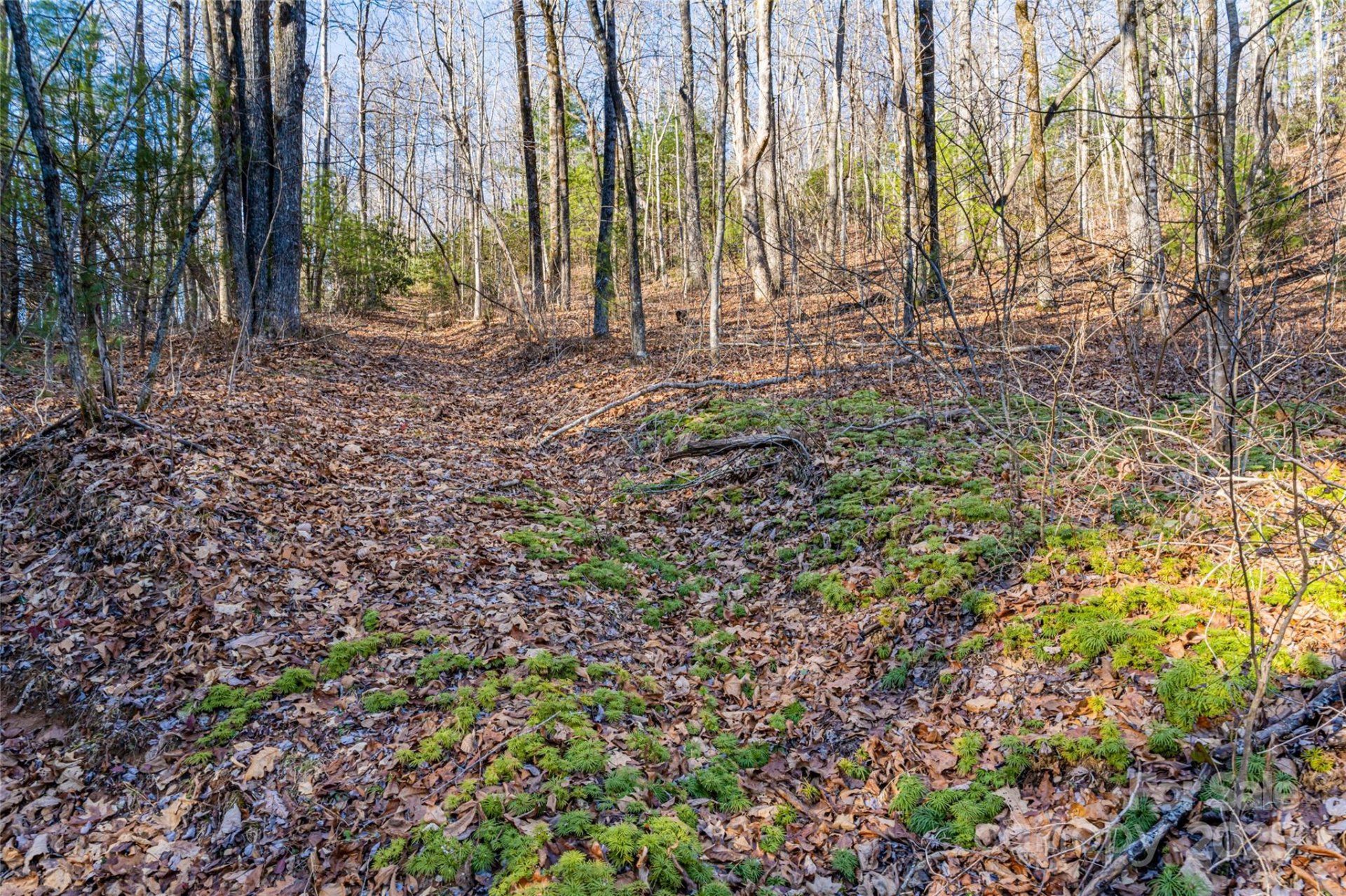 Property image 2 at 167 Shoal Creek Road, Zirconia, NC 28790
