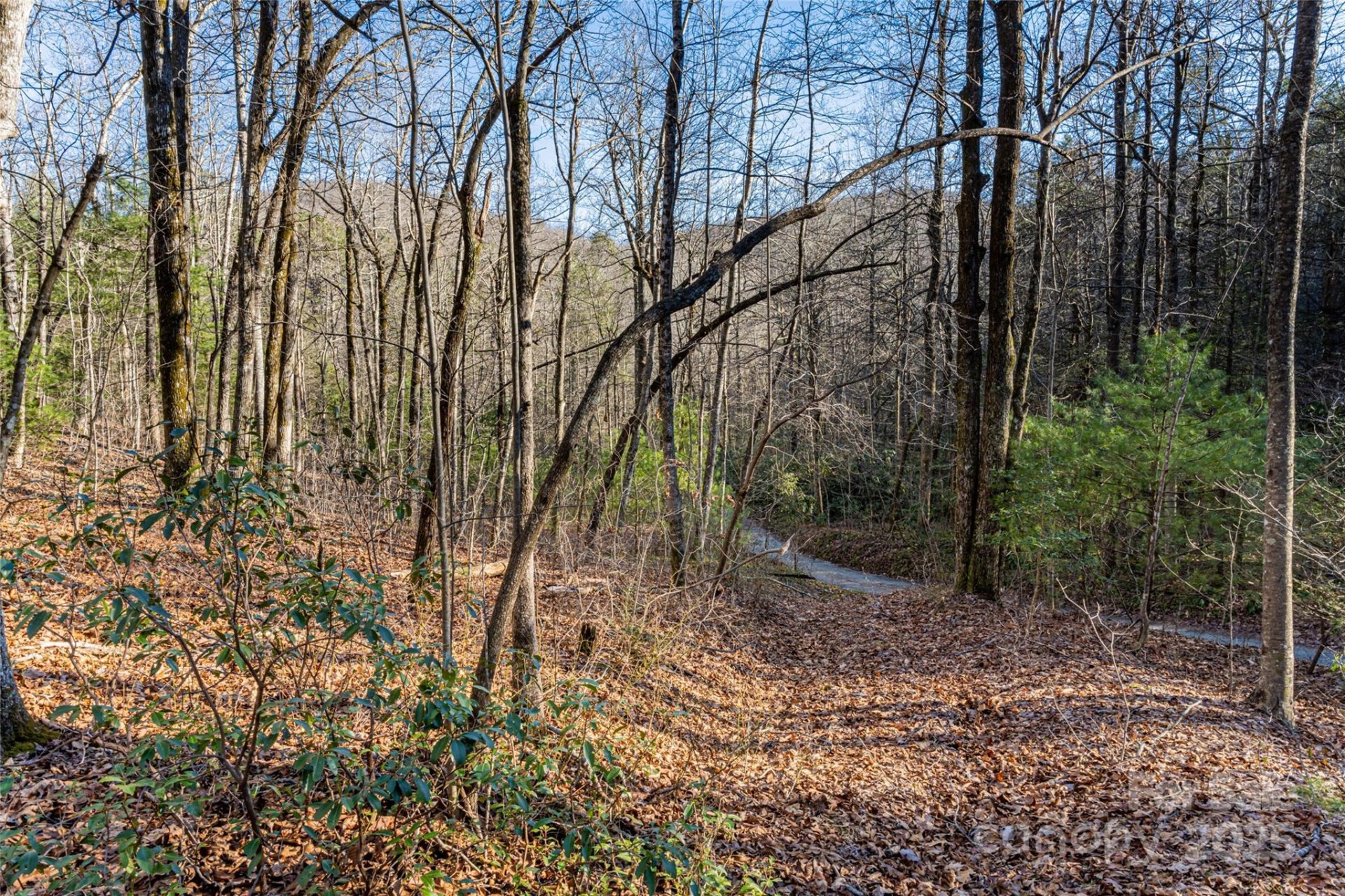 Property image 3 at 167 Shoal Creek Road, Zirconia, NC 28790